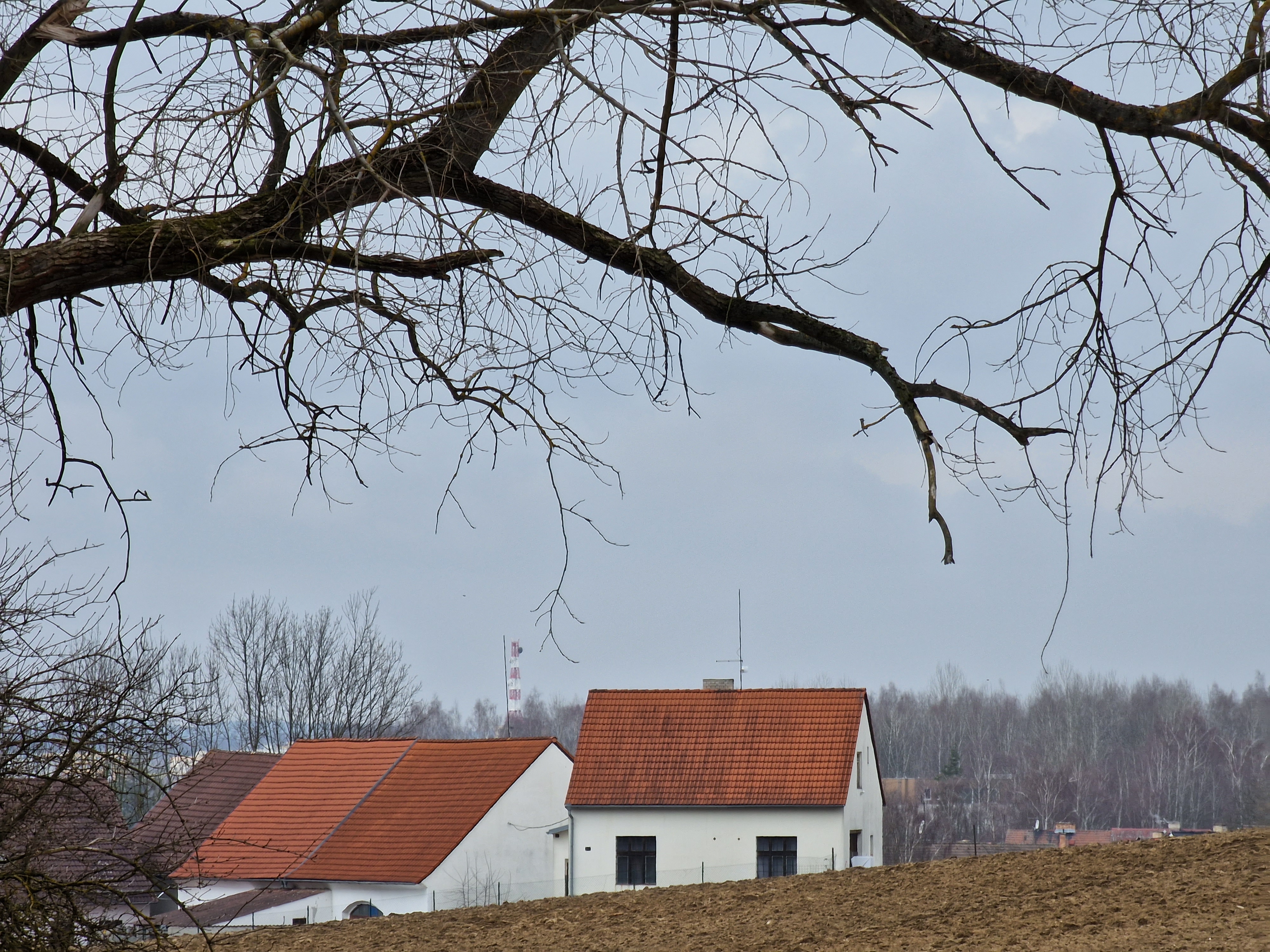 plowed field trees sky