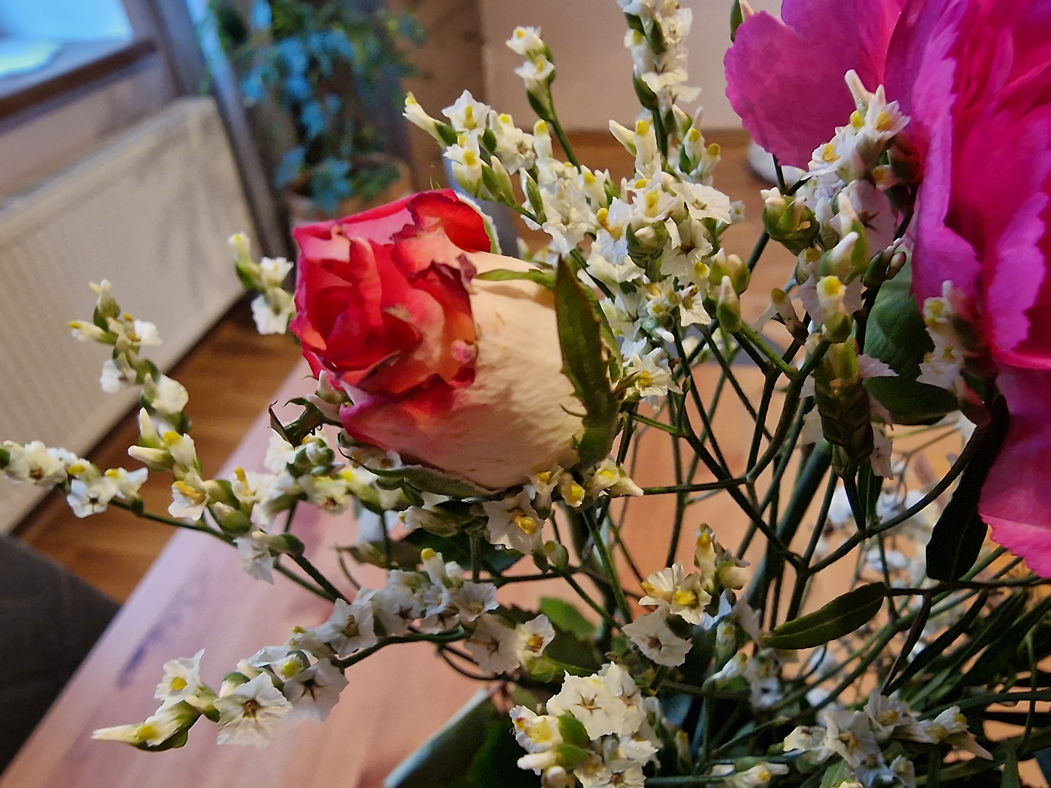 red and white rose in bouquet