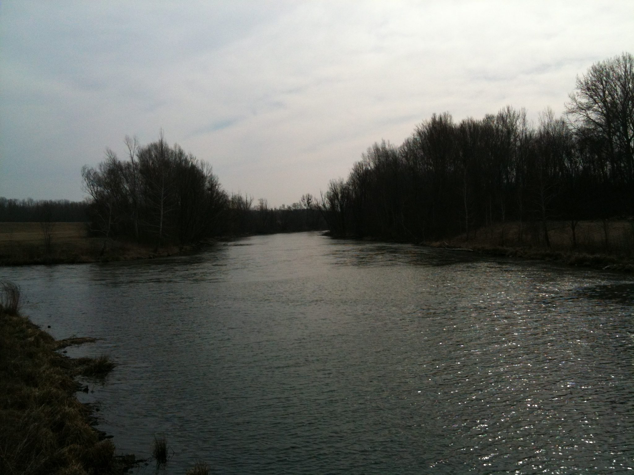 river with trees on banks
