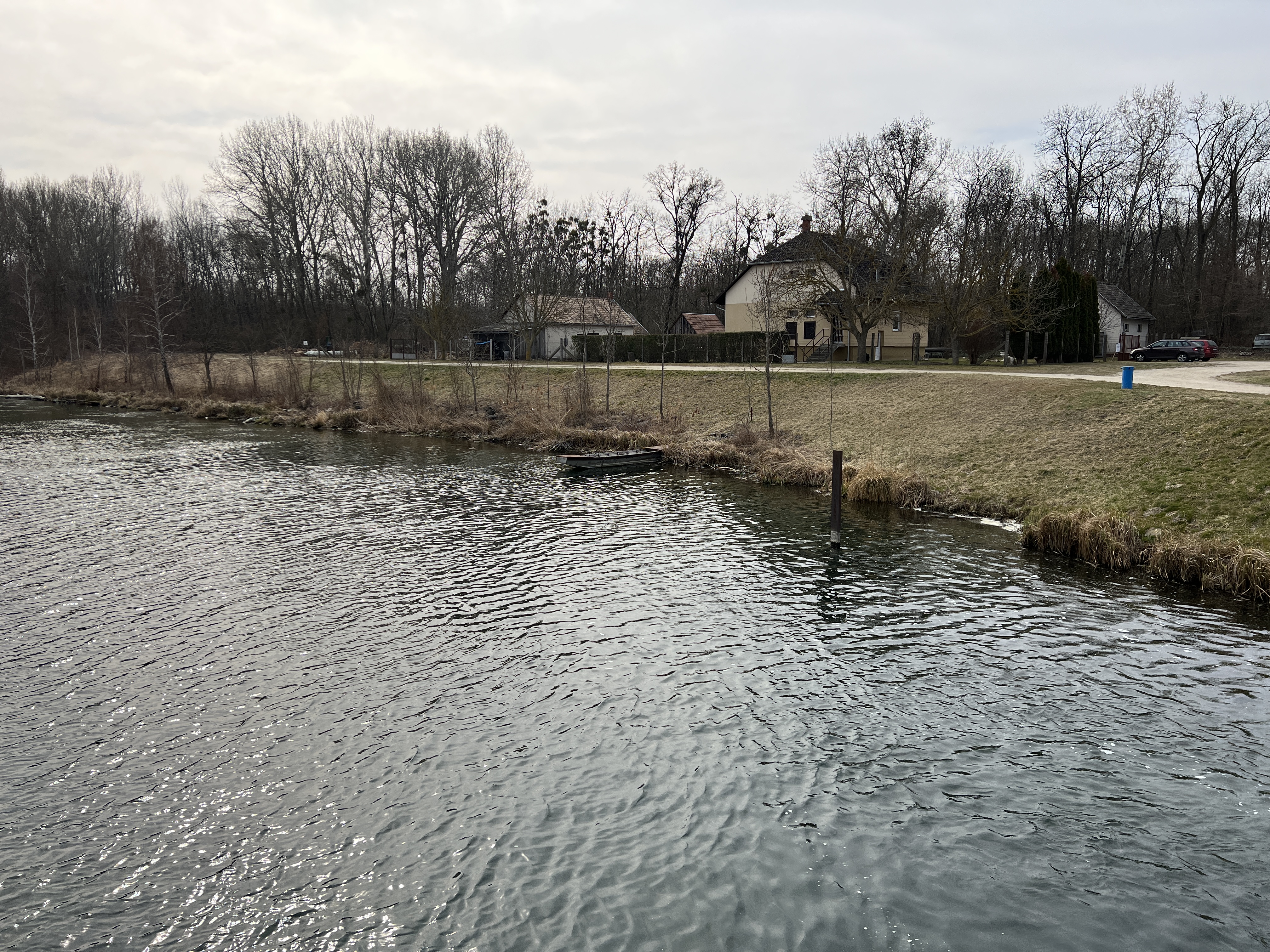 riverbank with houses