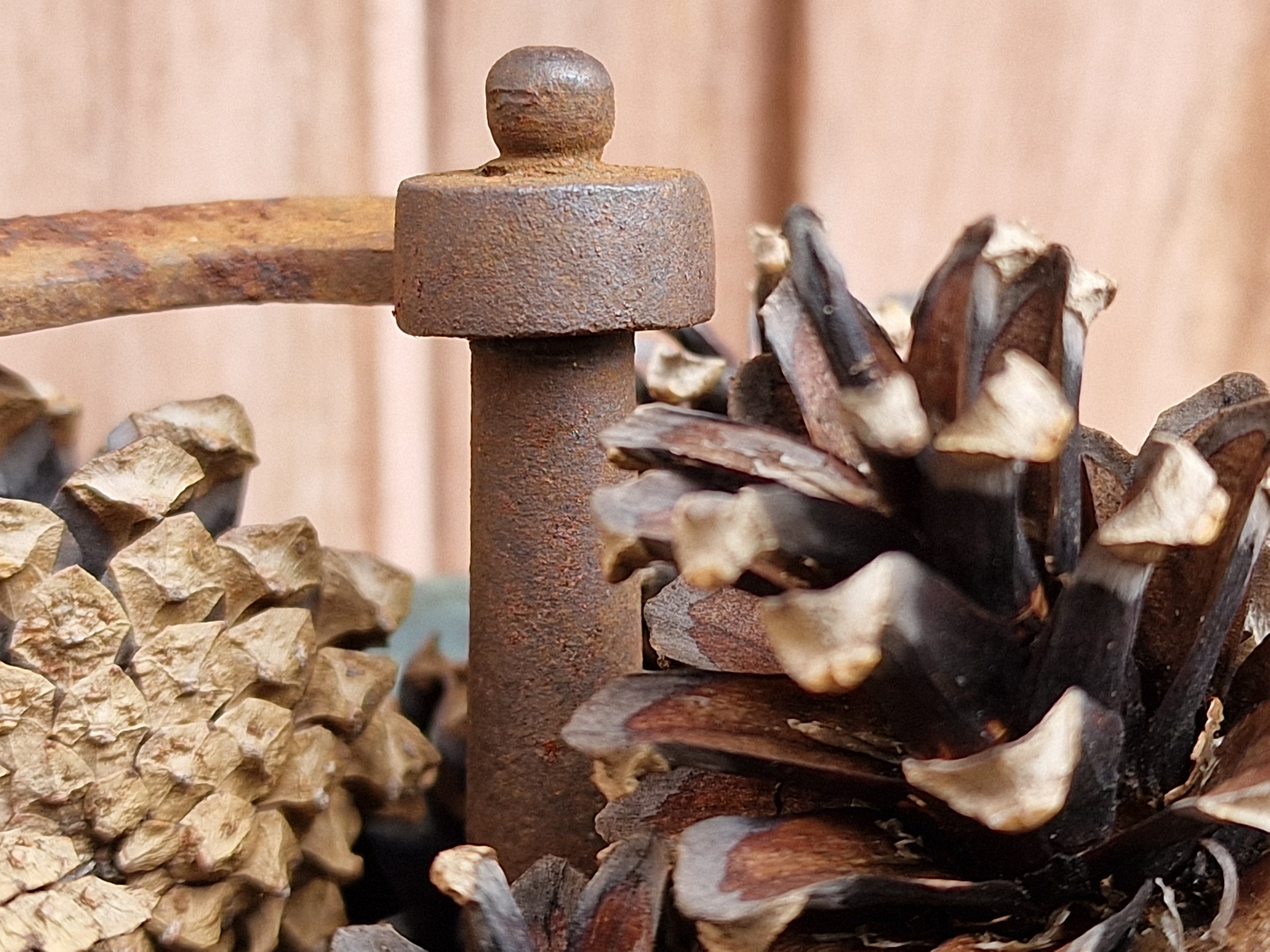 rusty metal and pinecones