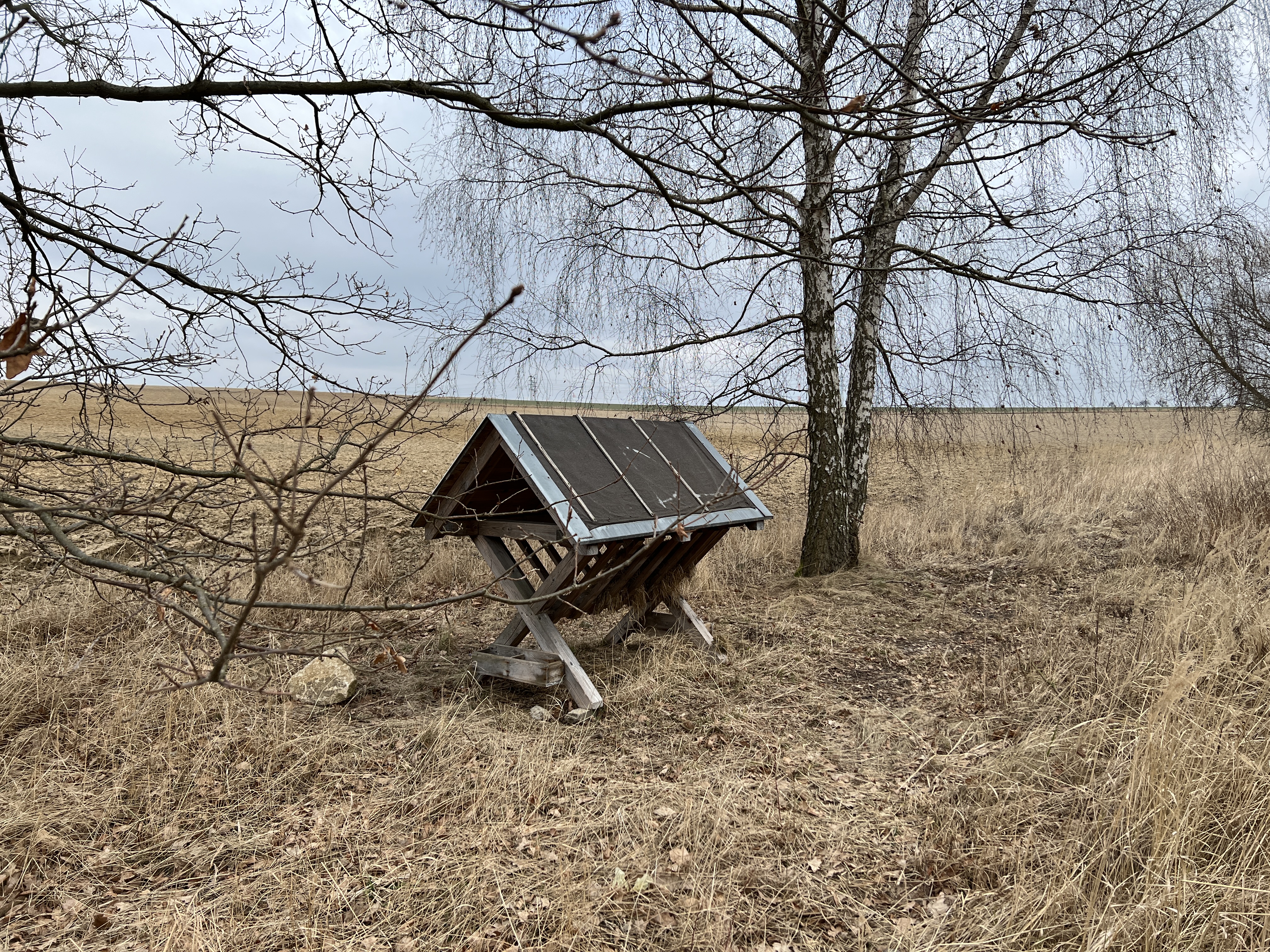 solar panel wooden structure