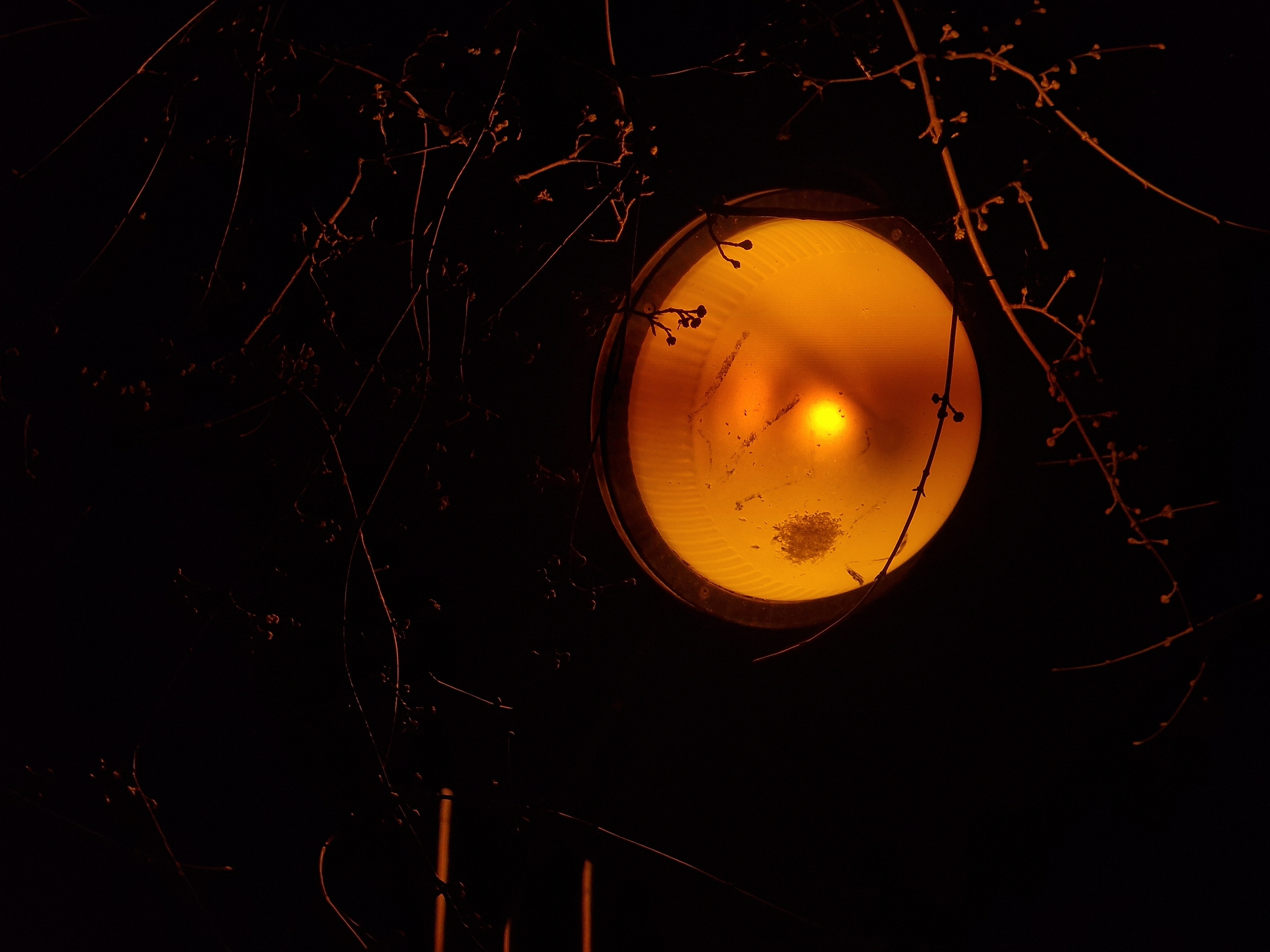 street lamp closeup night