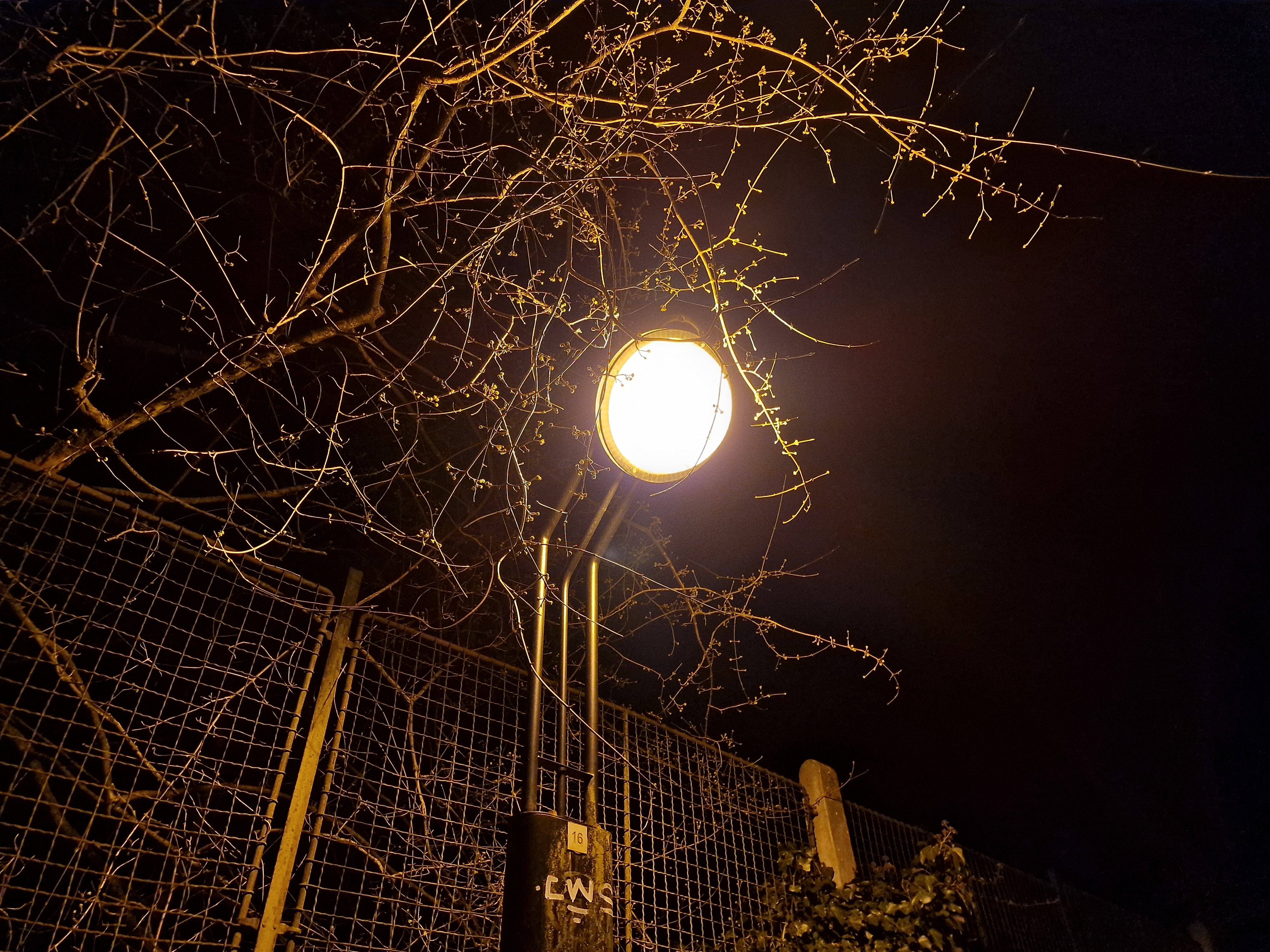 street lamp night