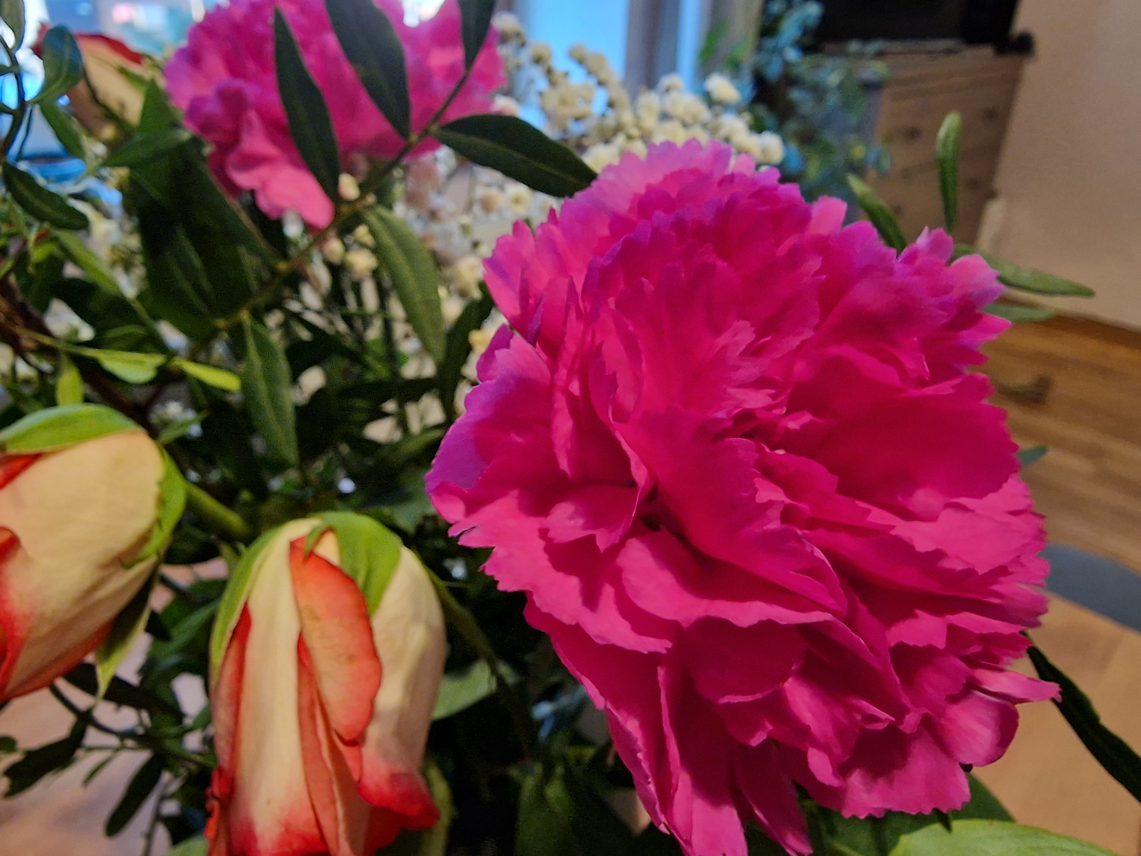 vibrant pink carnation bouquet