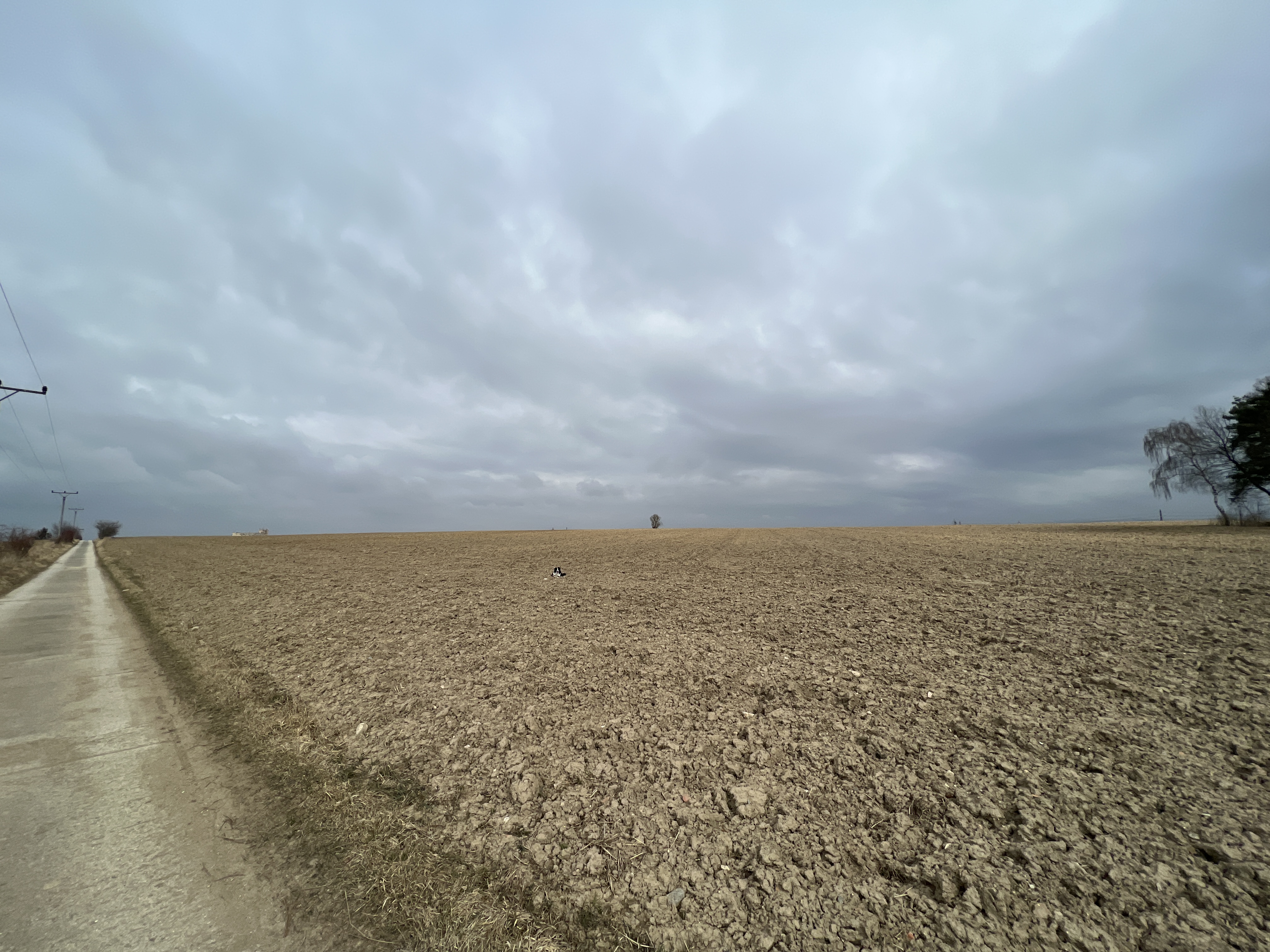 wide open field cloudy sky