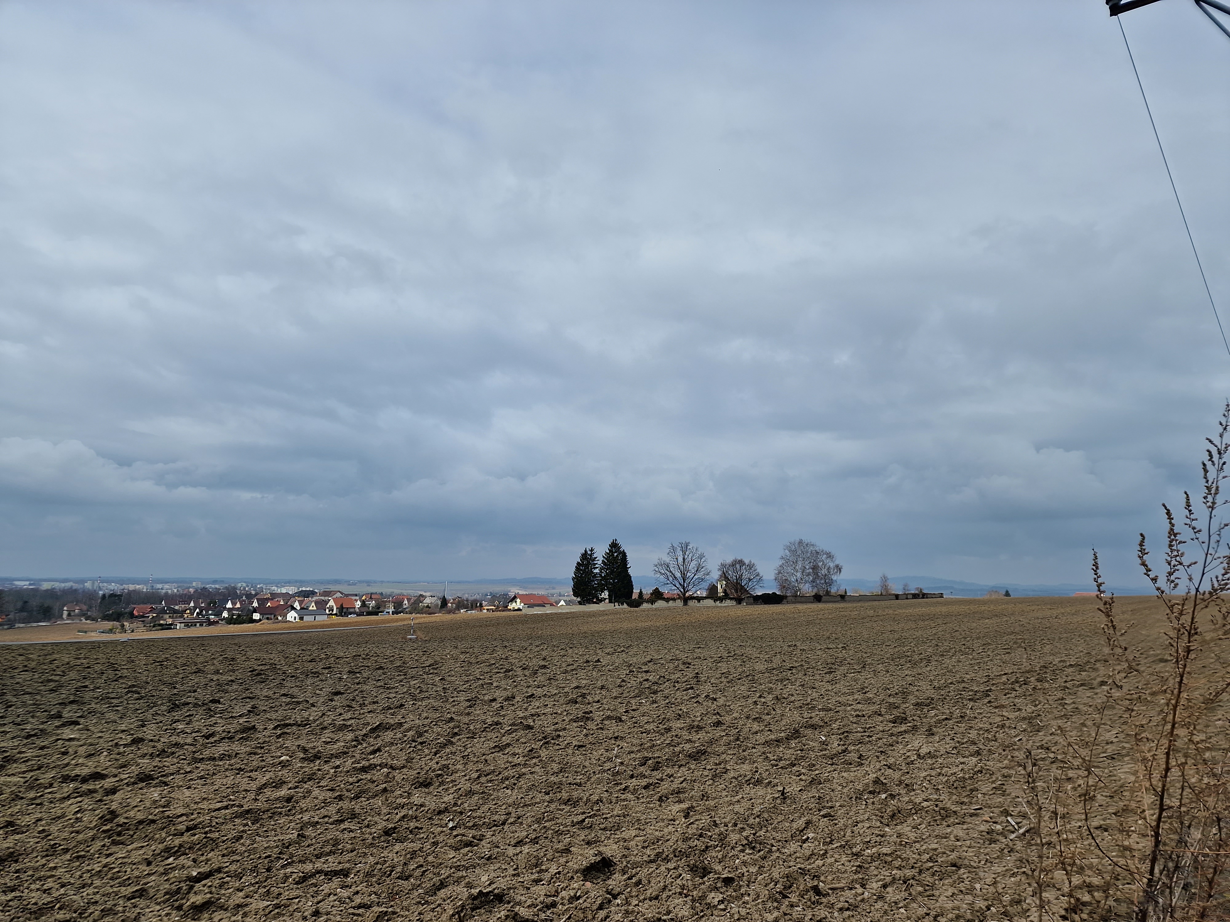 wide open field under cloudy sky