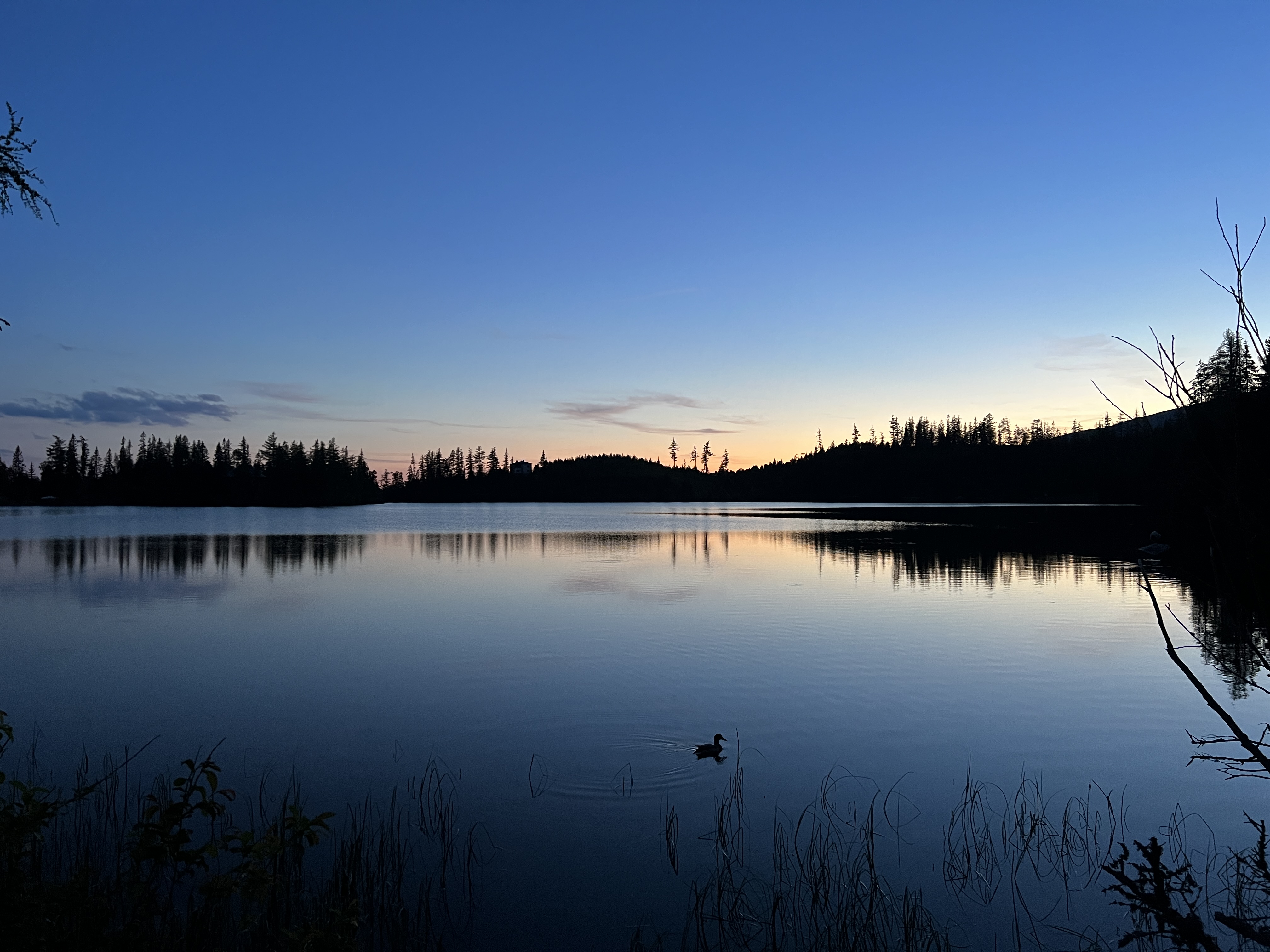 calm lake dusk