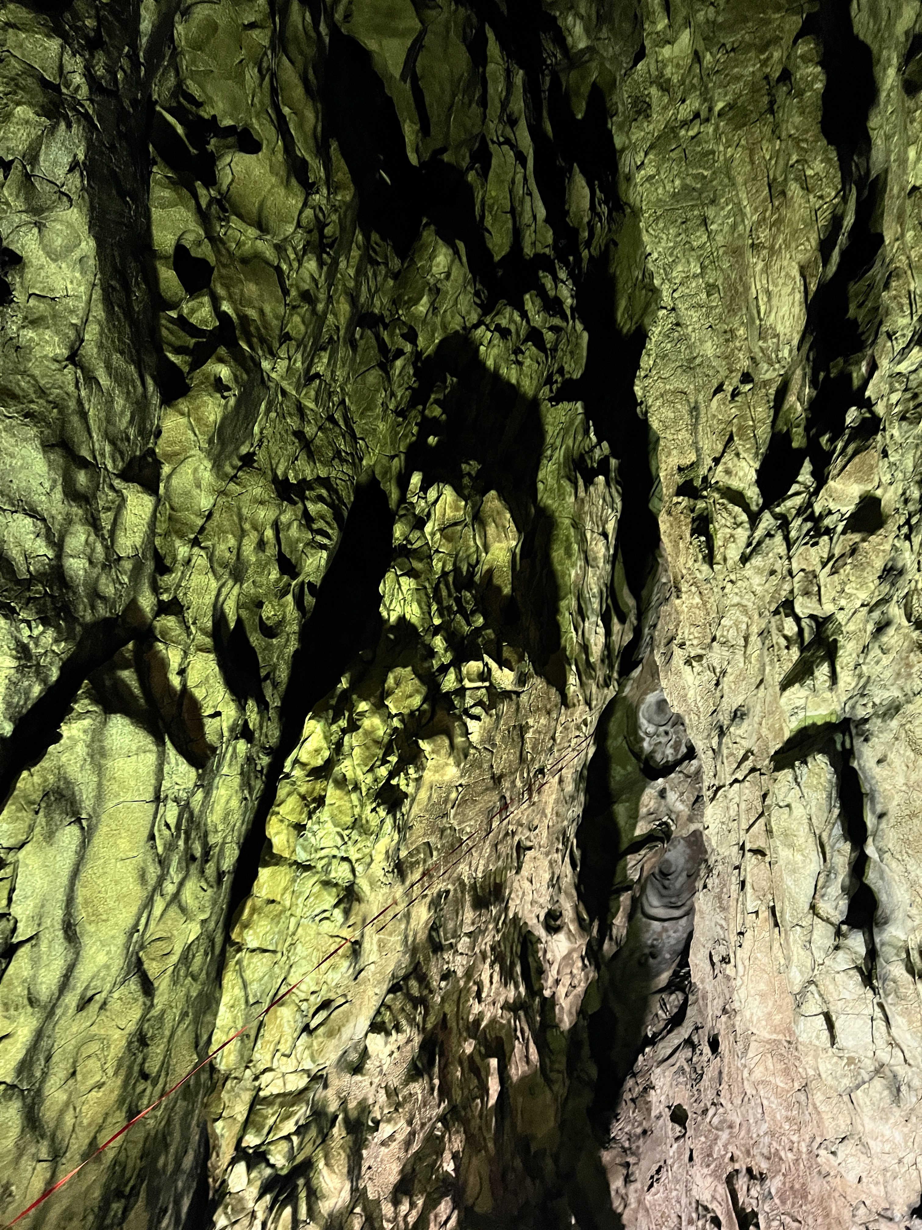 iPhone 13 Pro Max byci skala 15