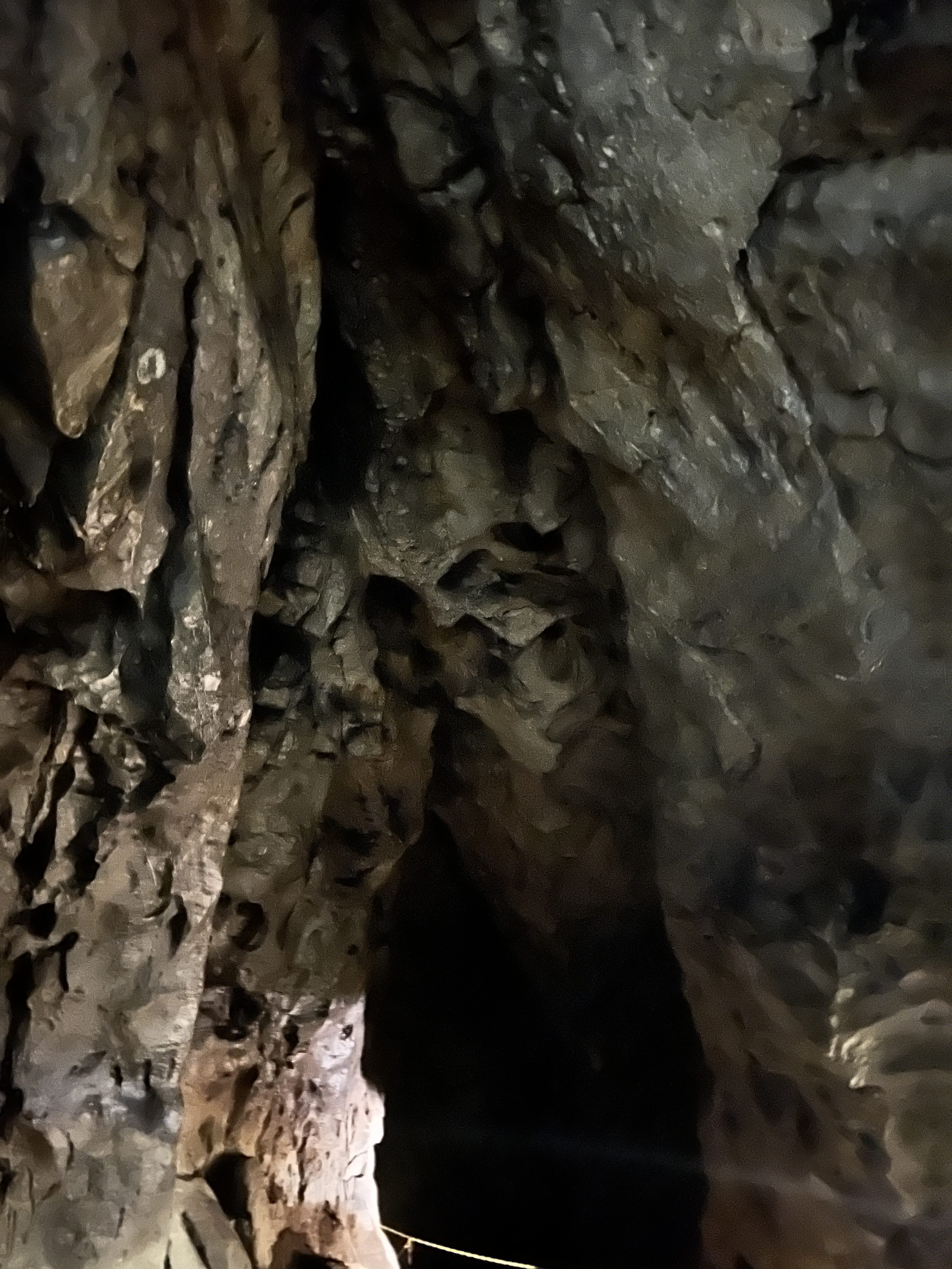 iPhone 13 Pro Max byci skala 18