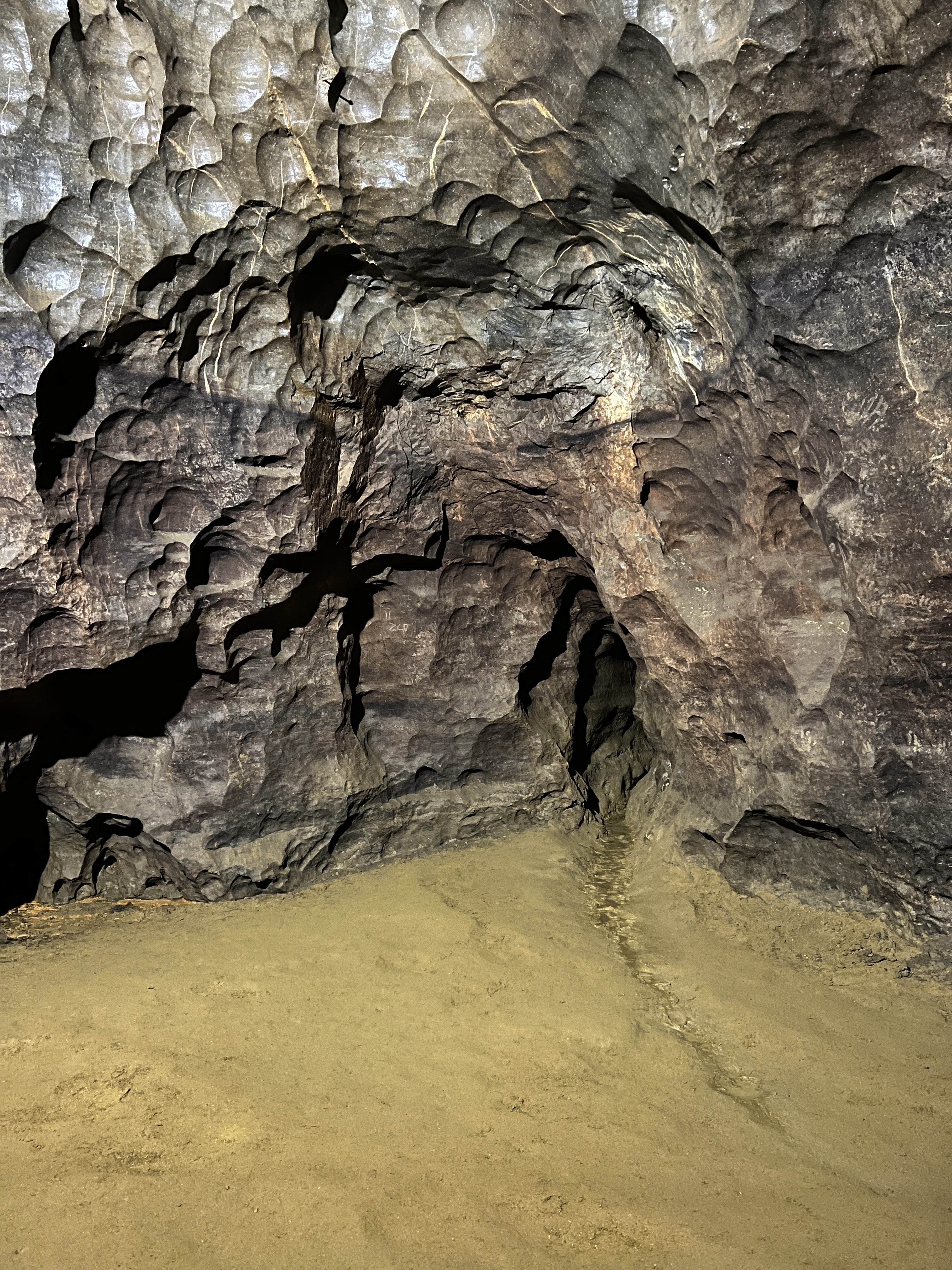 iPhone 13 Pro Max byci skala 23