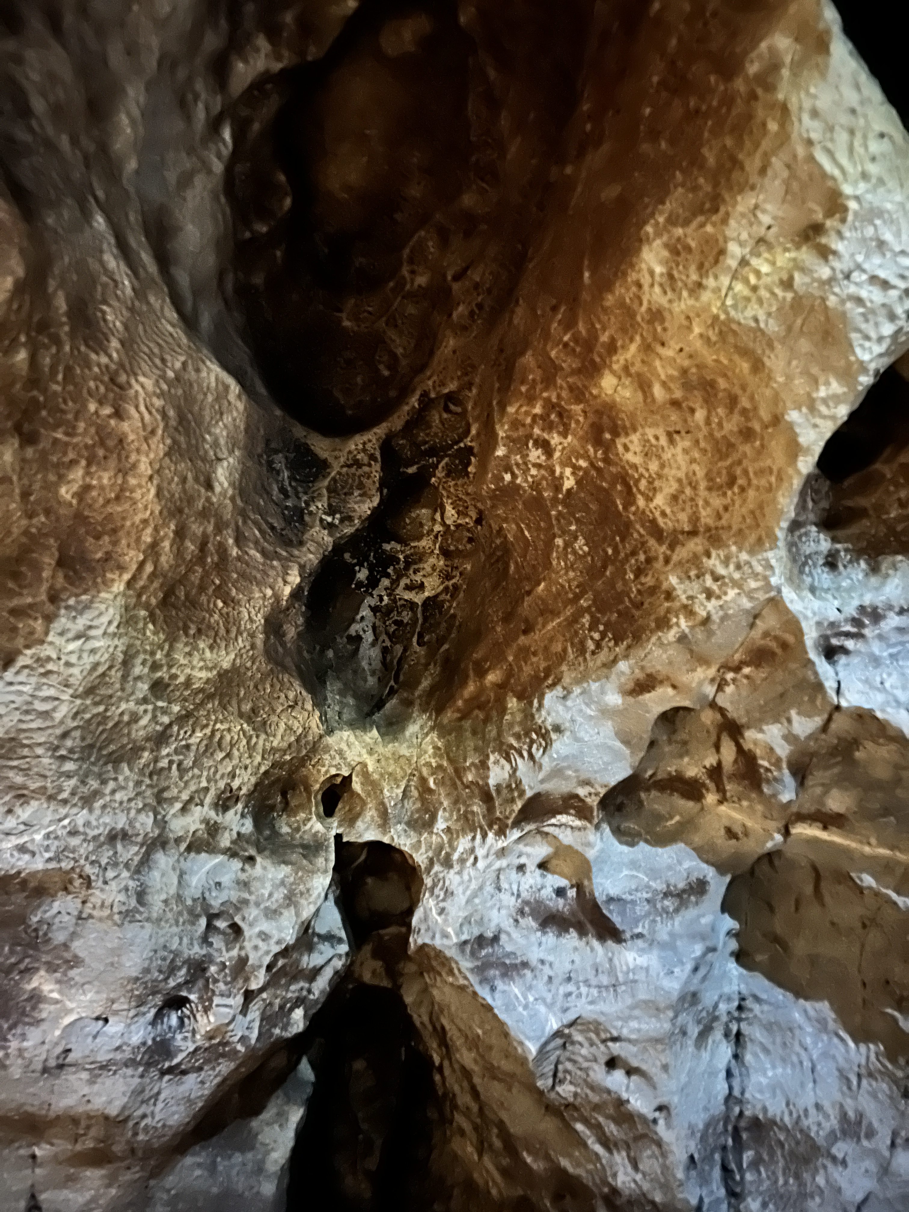 iPhone 13 Pro Max byci skala 28