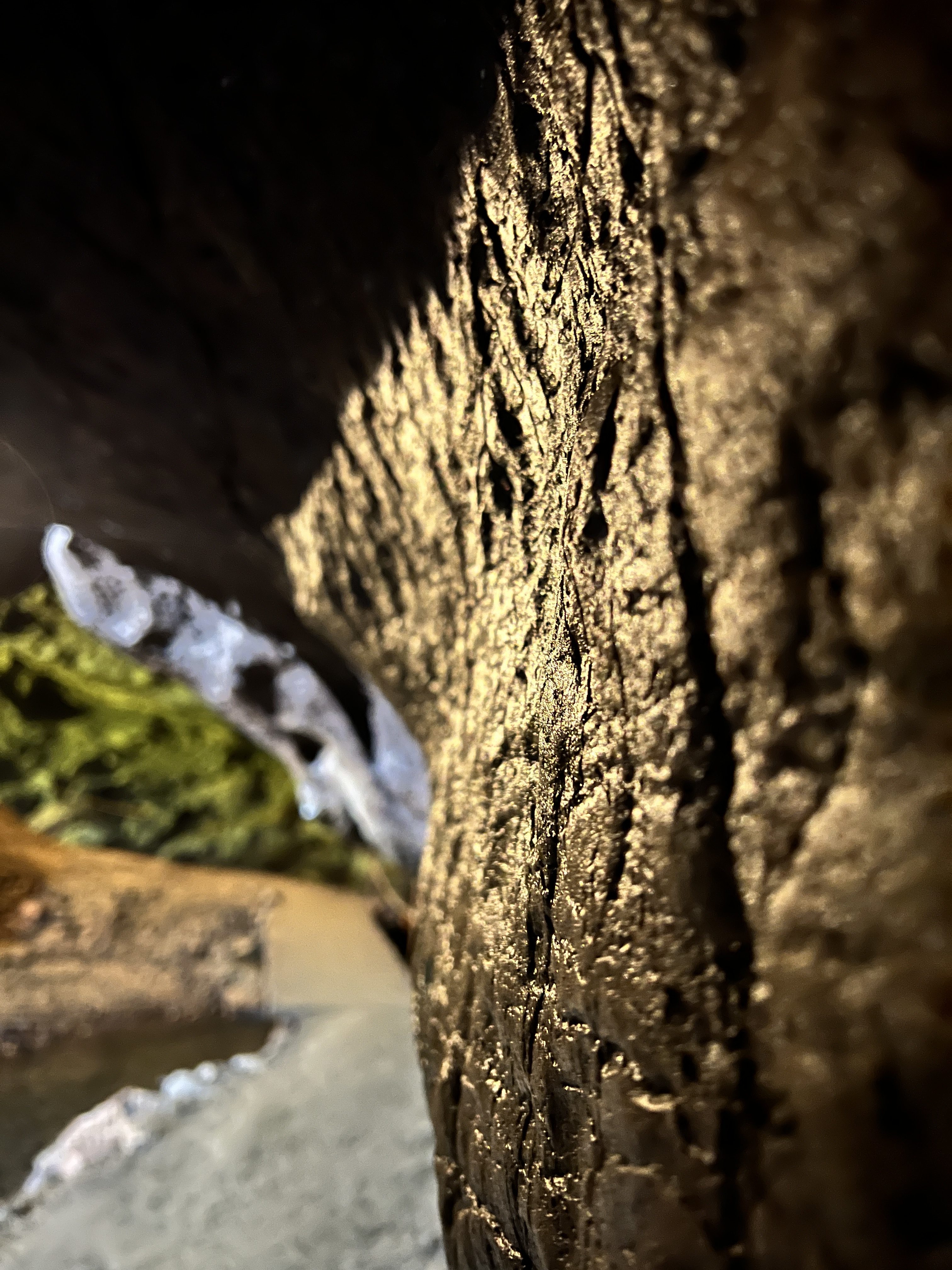 iPhone 13 Pro Max byci skala 29