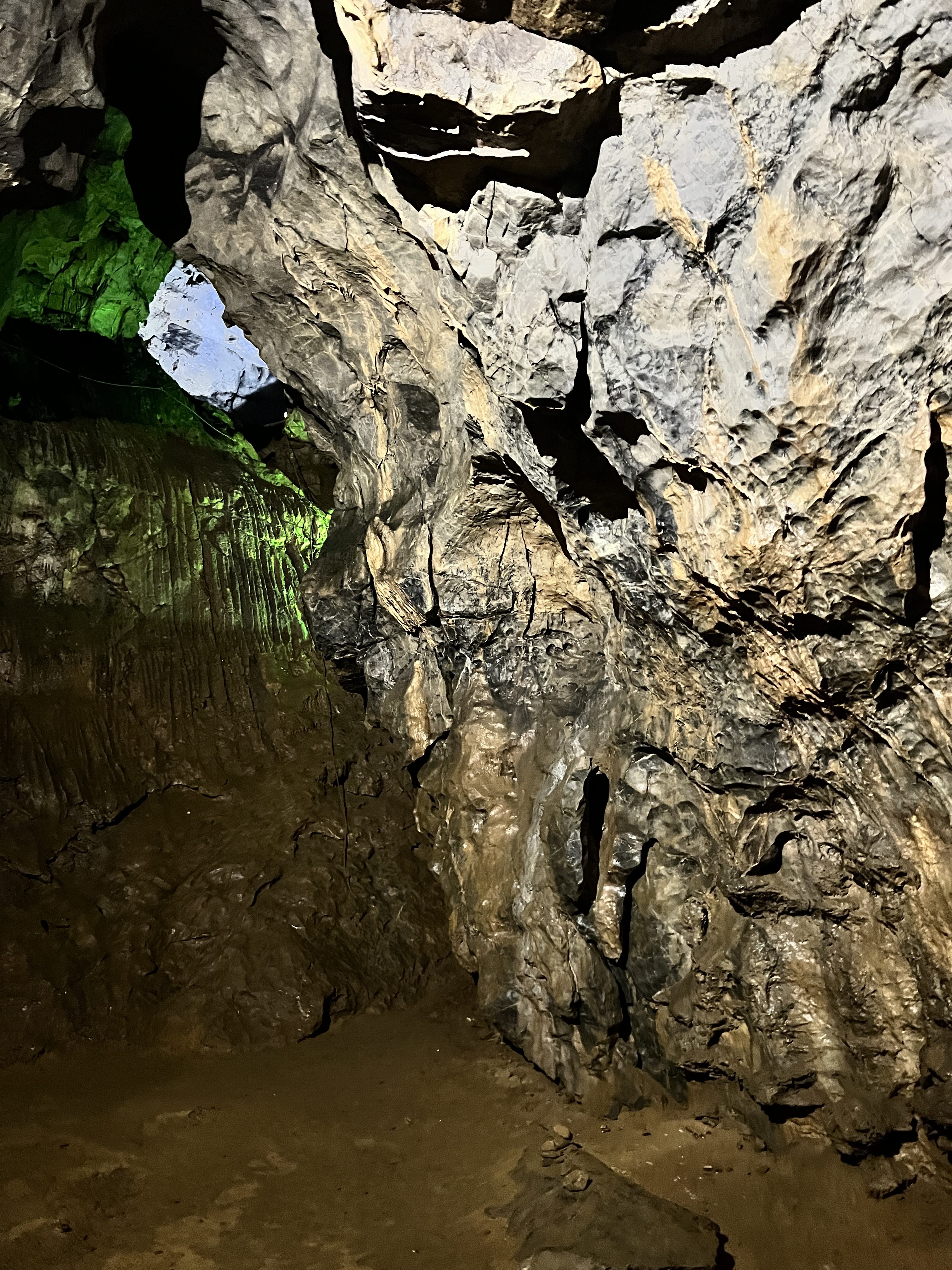 iPhone 13 Pro Max byci skala 37