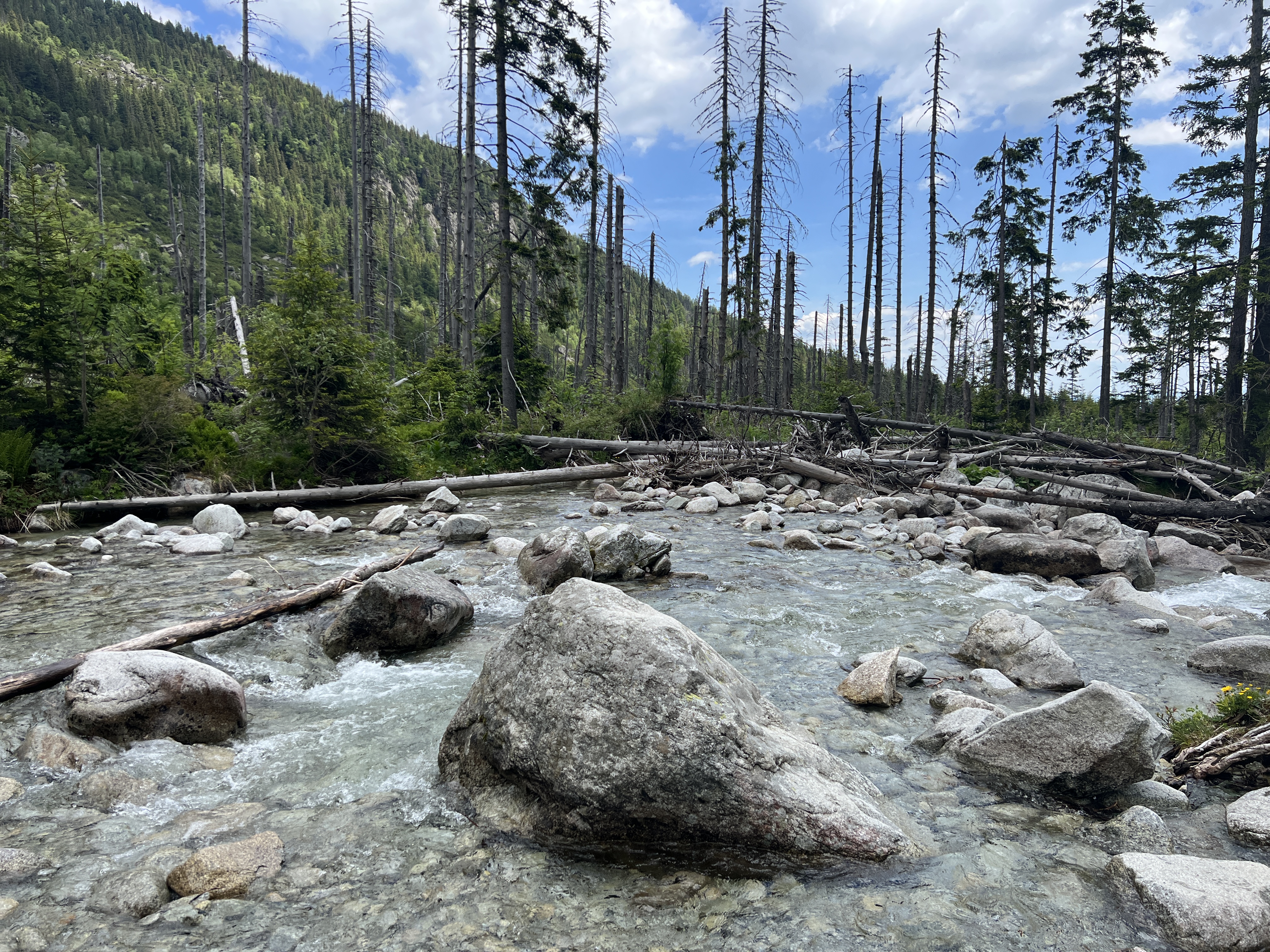 mountain stream rocks