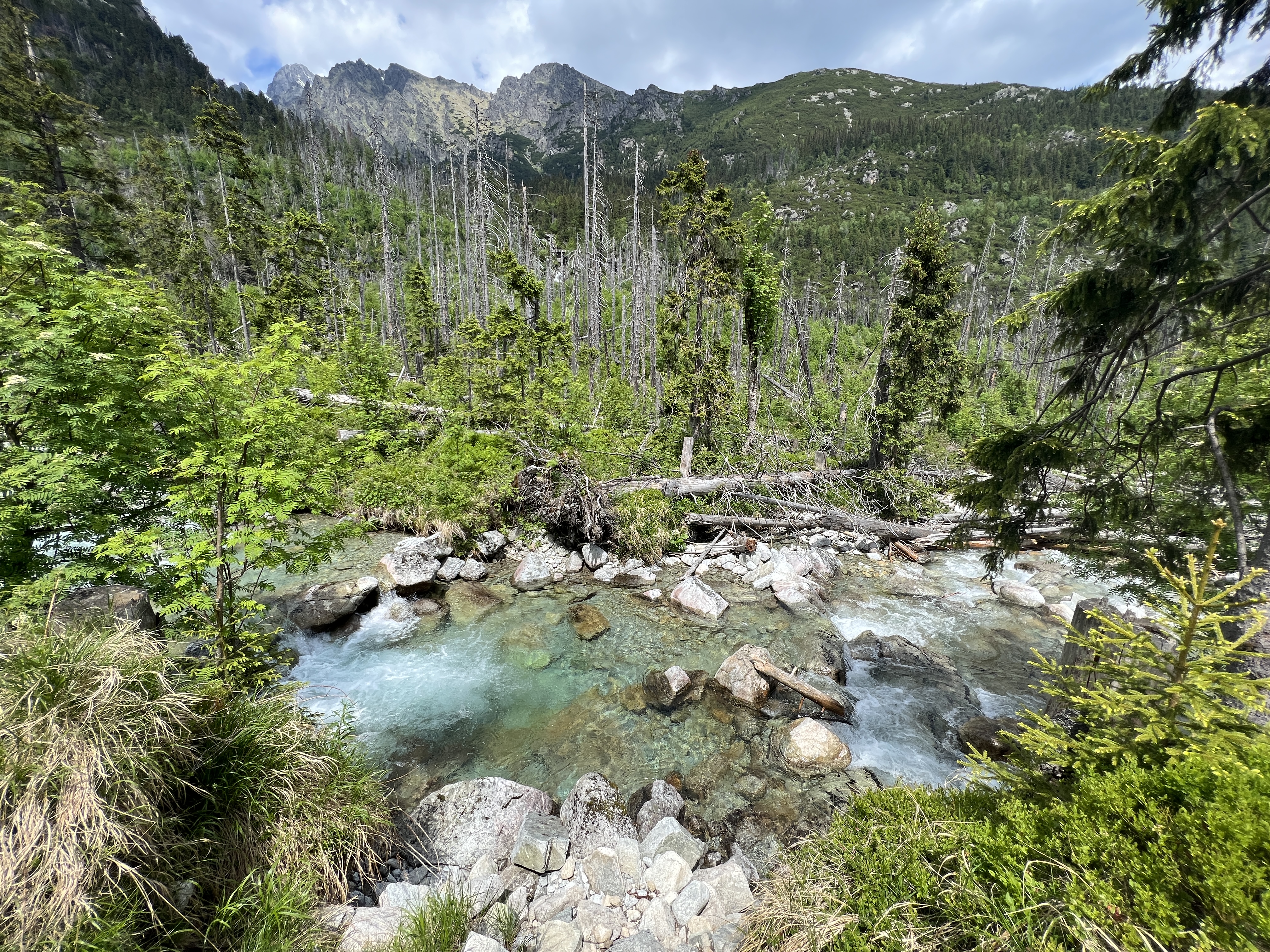 river and mountain view