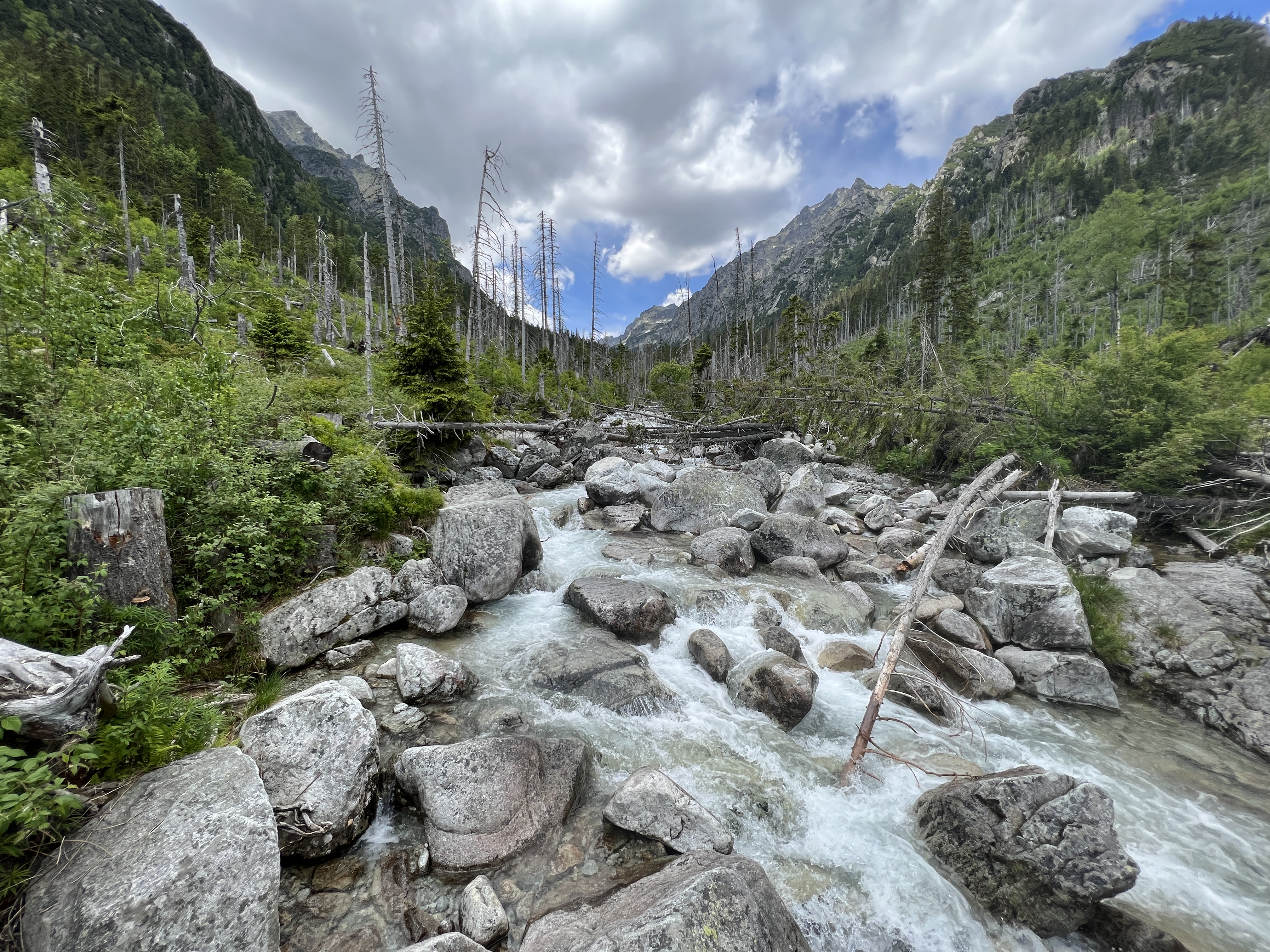 rocky stream mountains