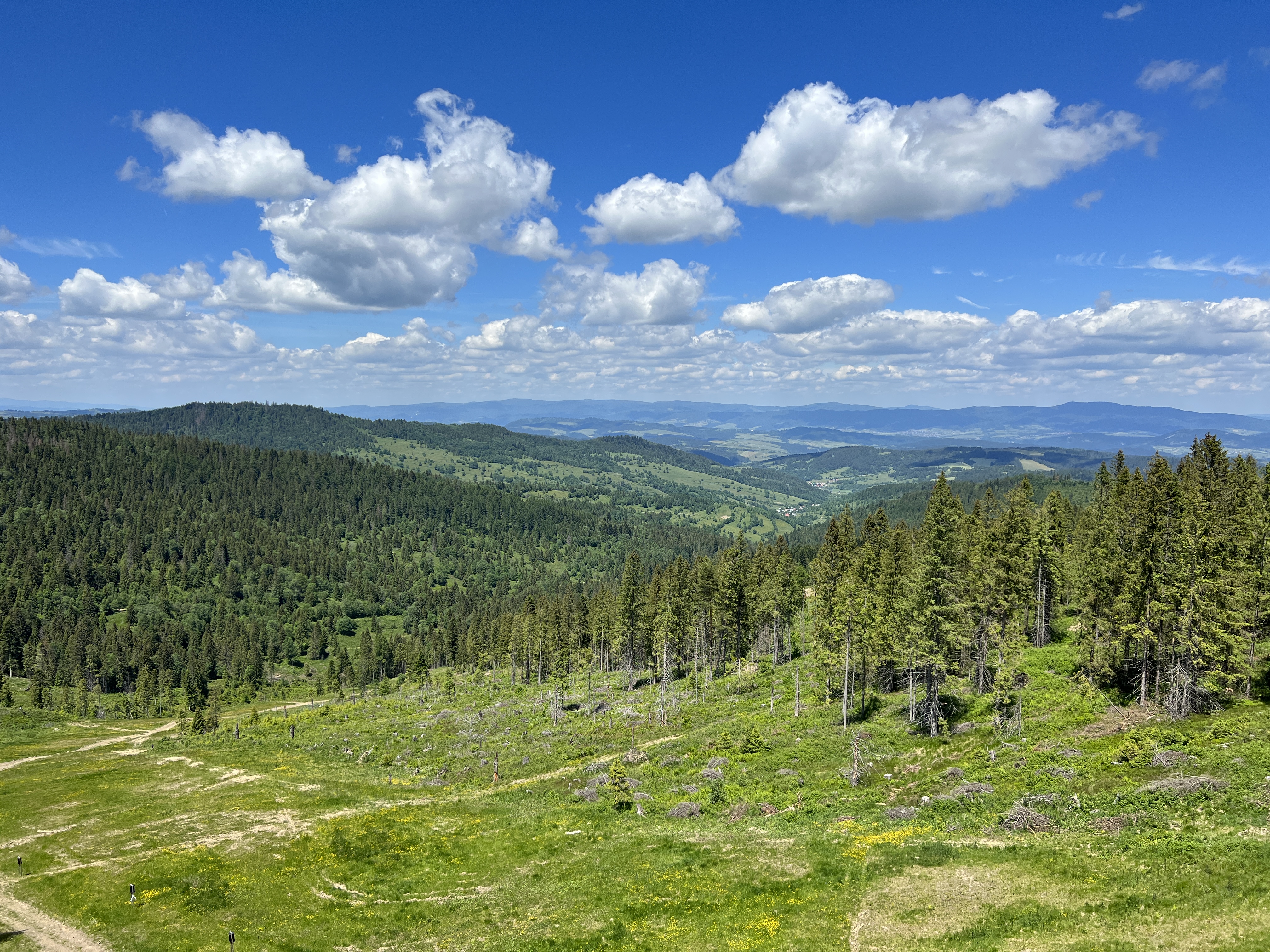 rolling hills landscape
