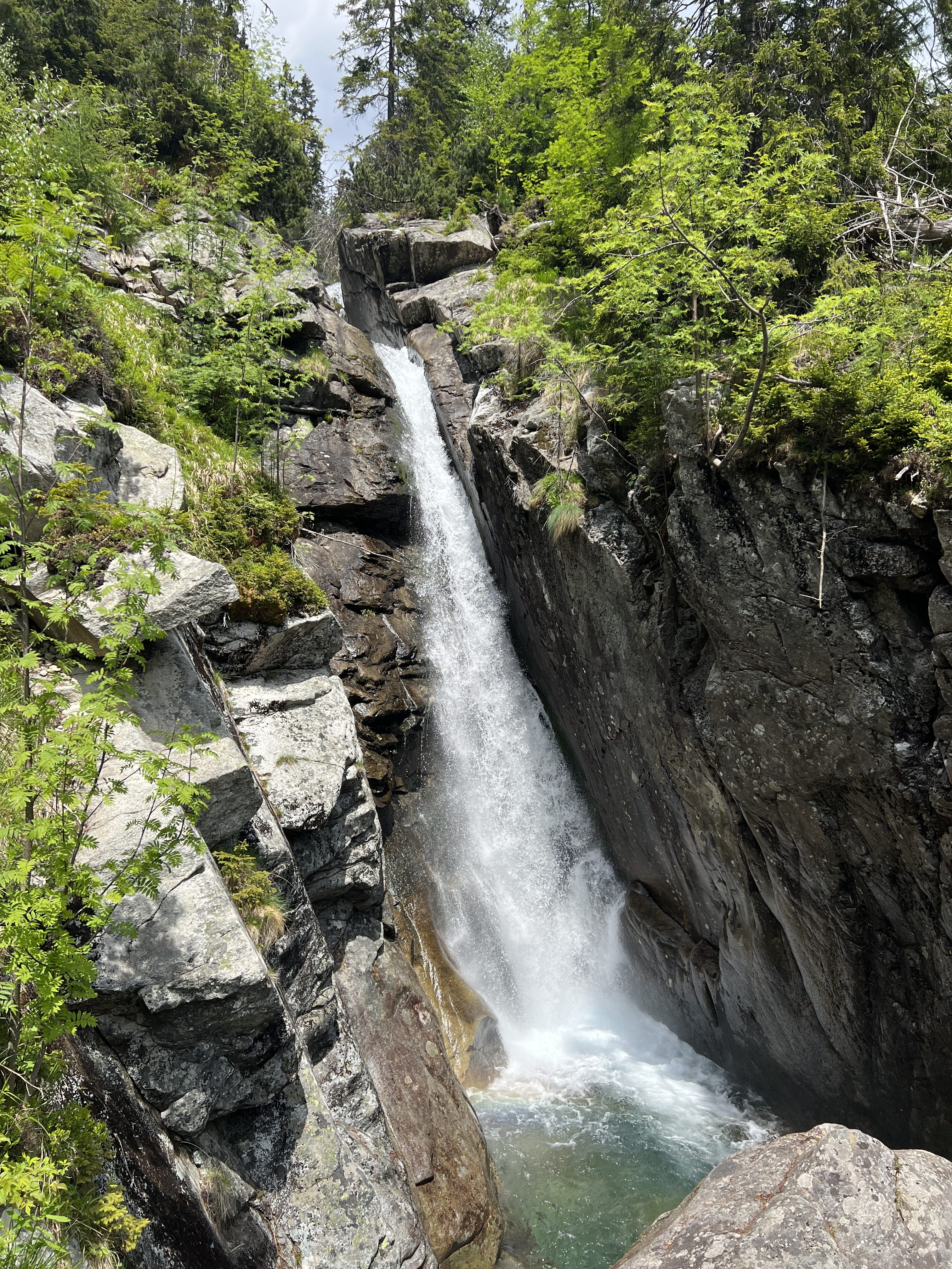 waterfall rocks forest