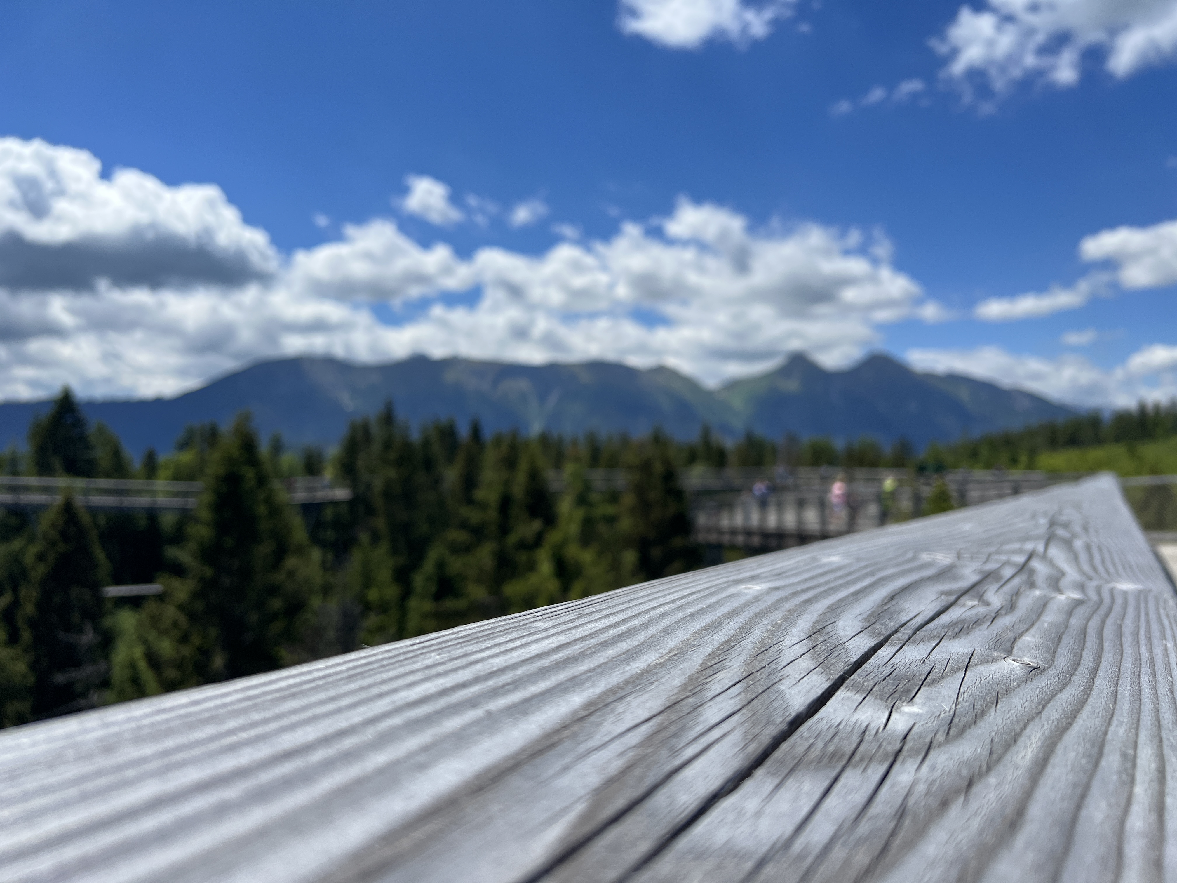 wooden rail mountain