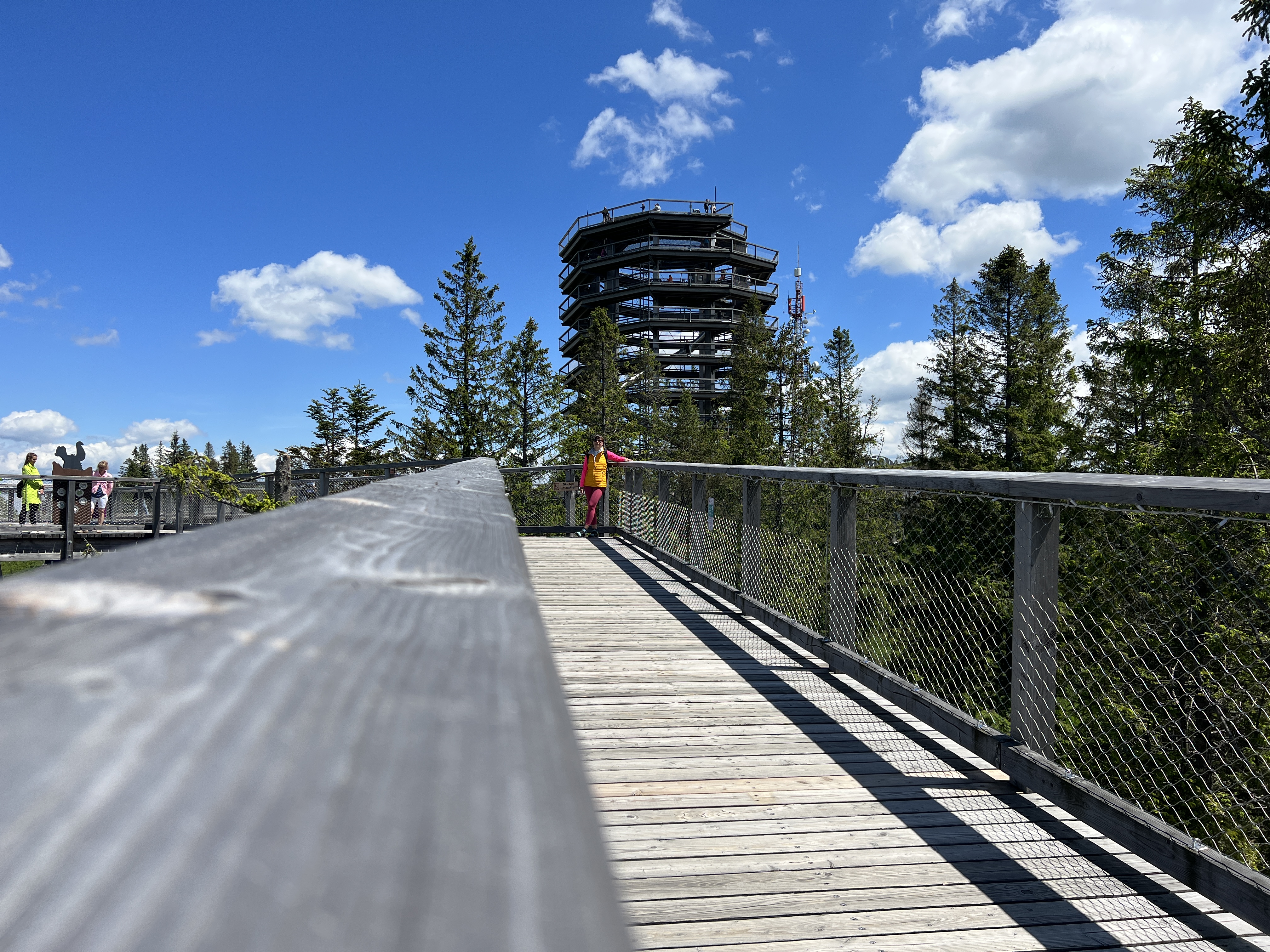 wooden walkway tower
