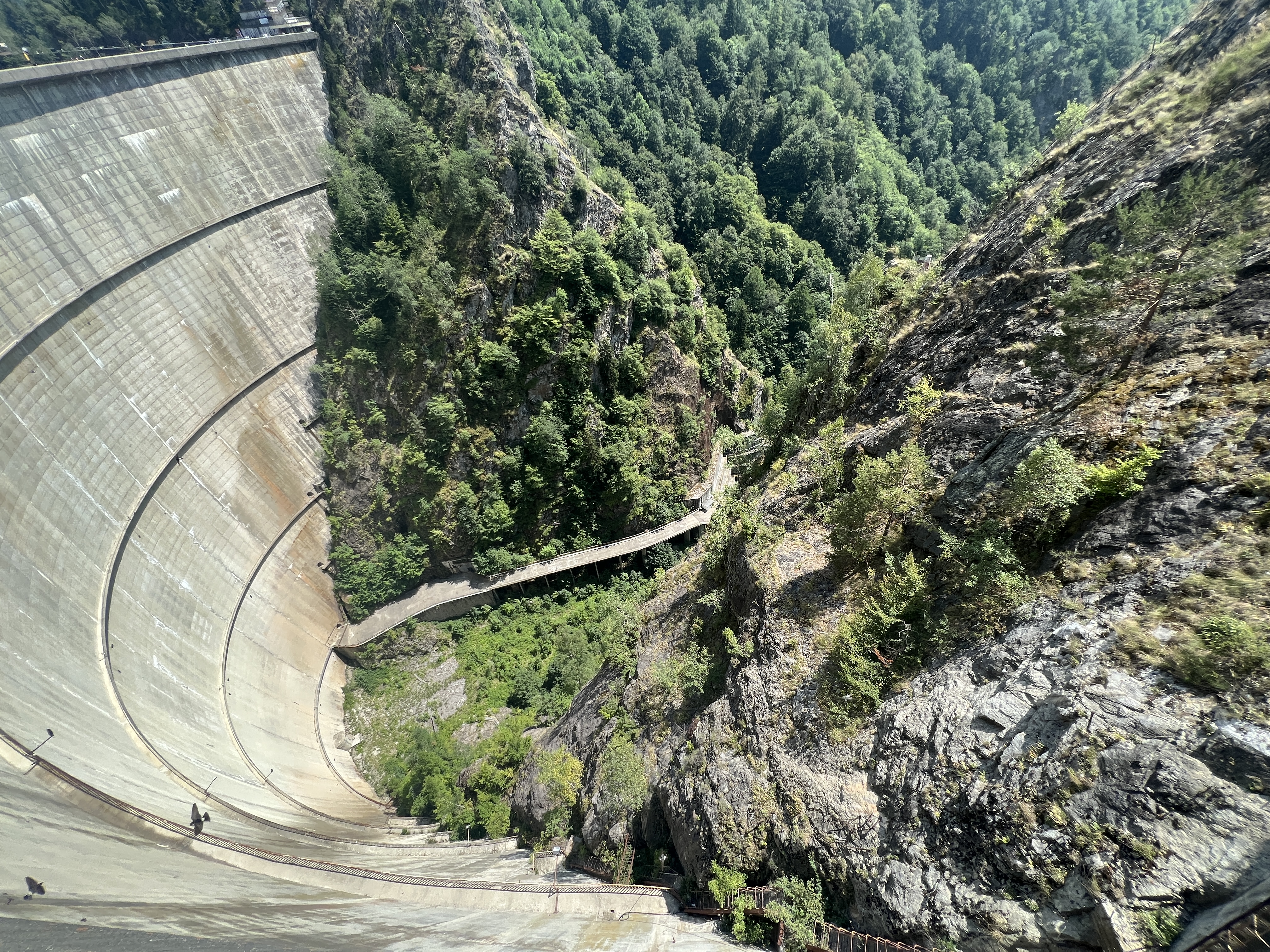 dam wall forest view