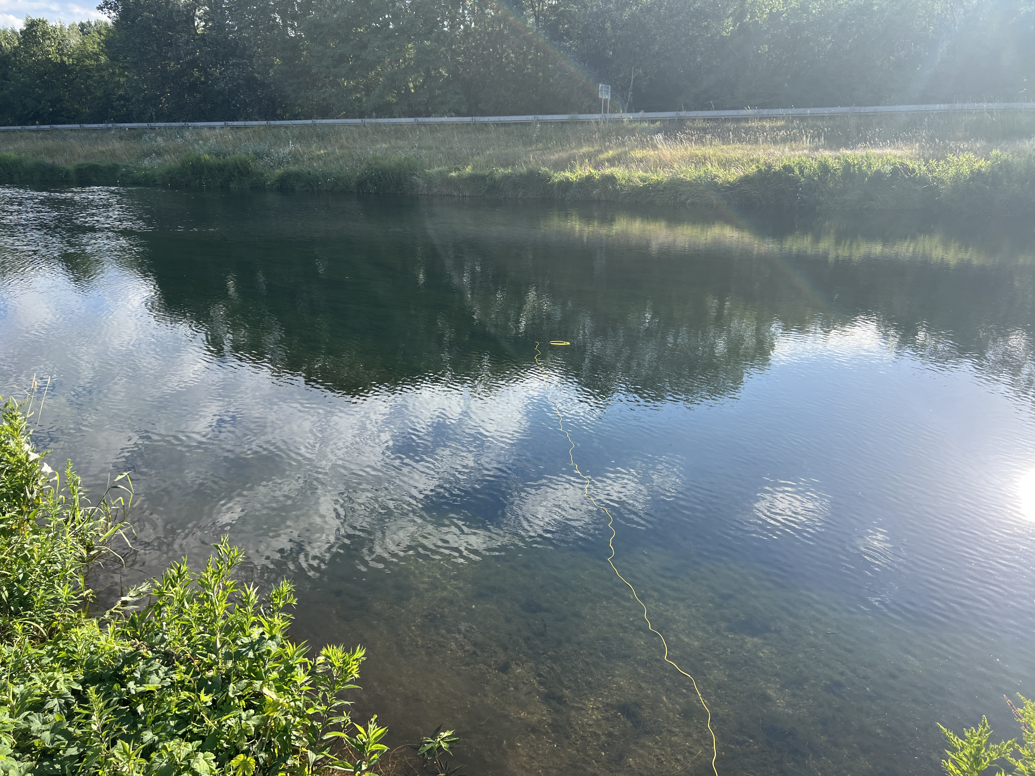 riverbank reflection nature