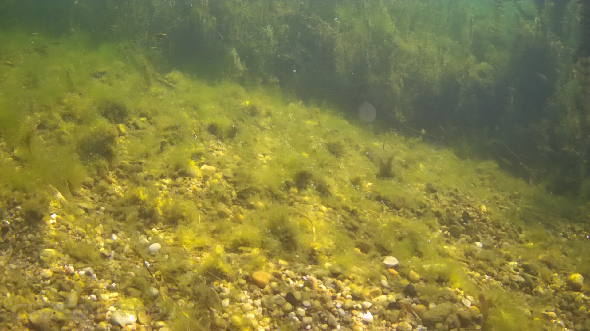 underwater rocky bottom