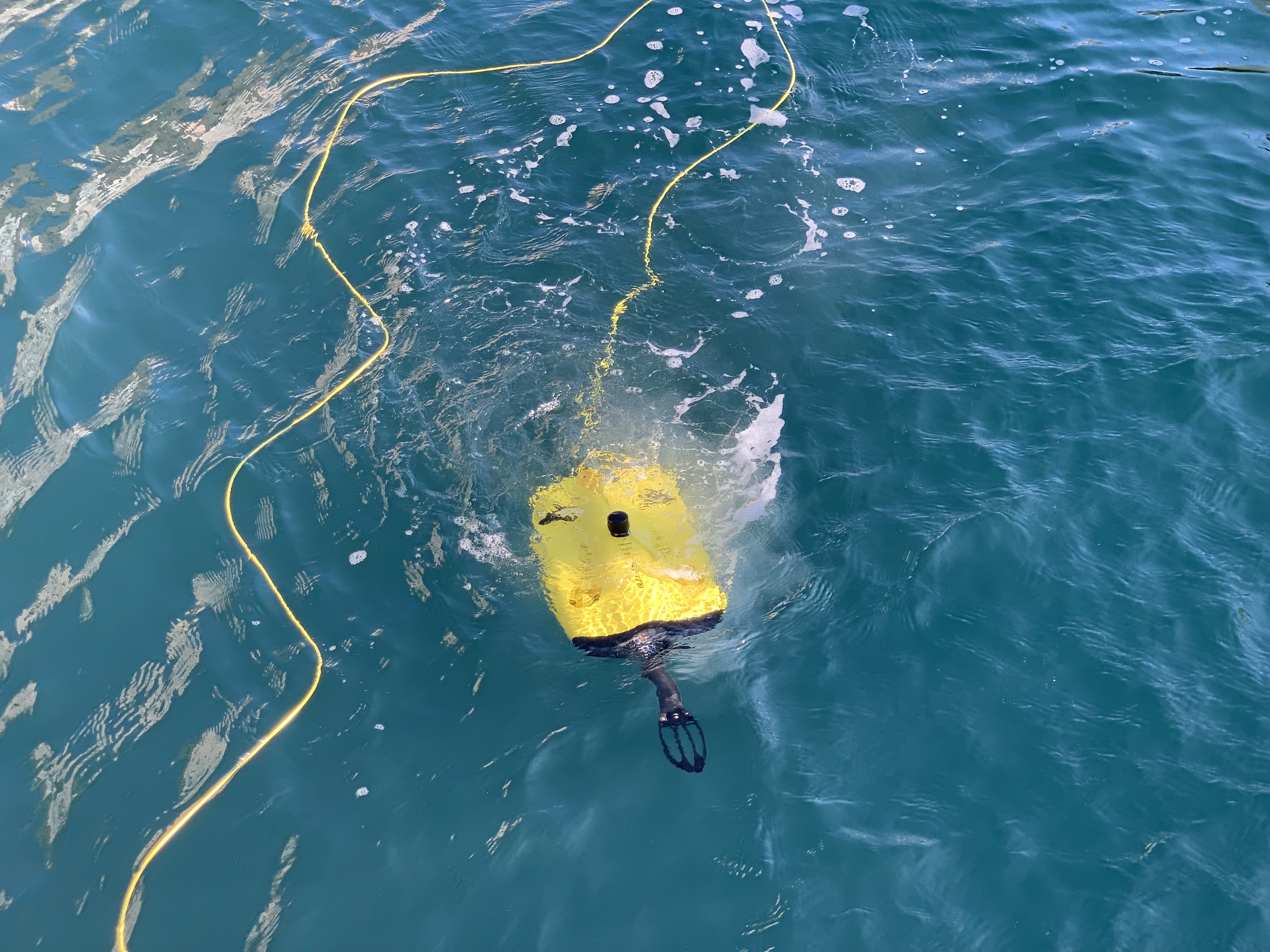 drone submerged in water