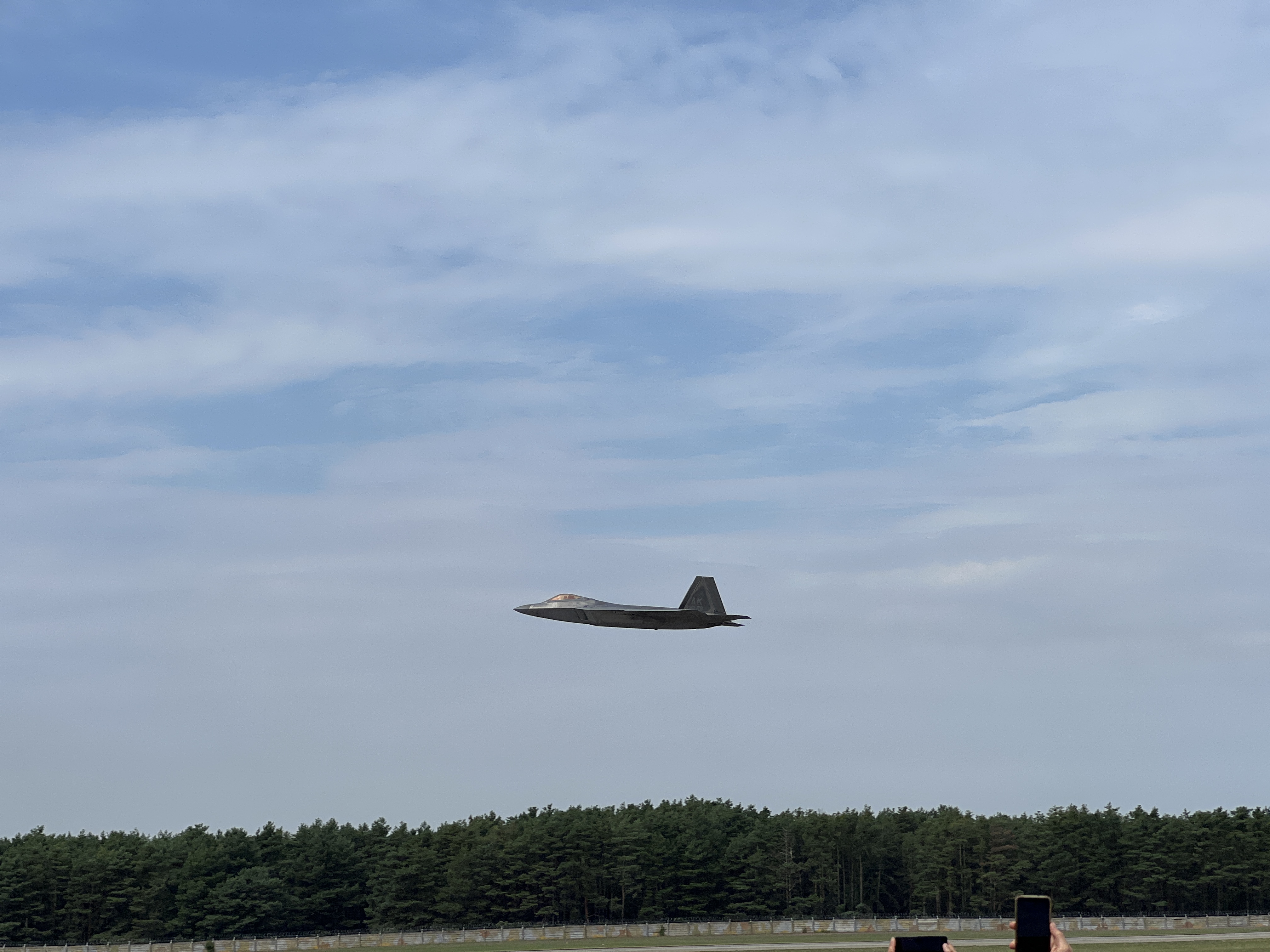 jet flying over trees