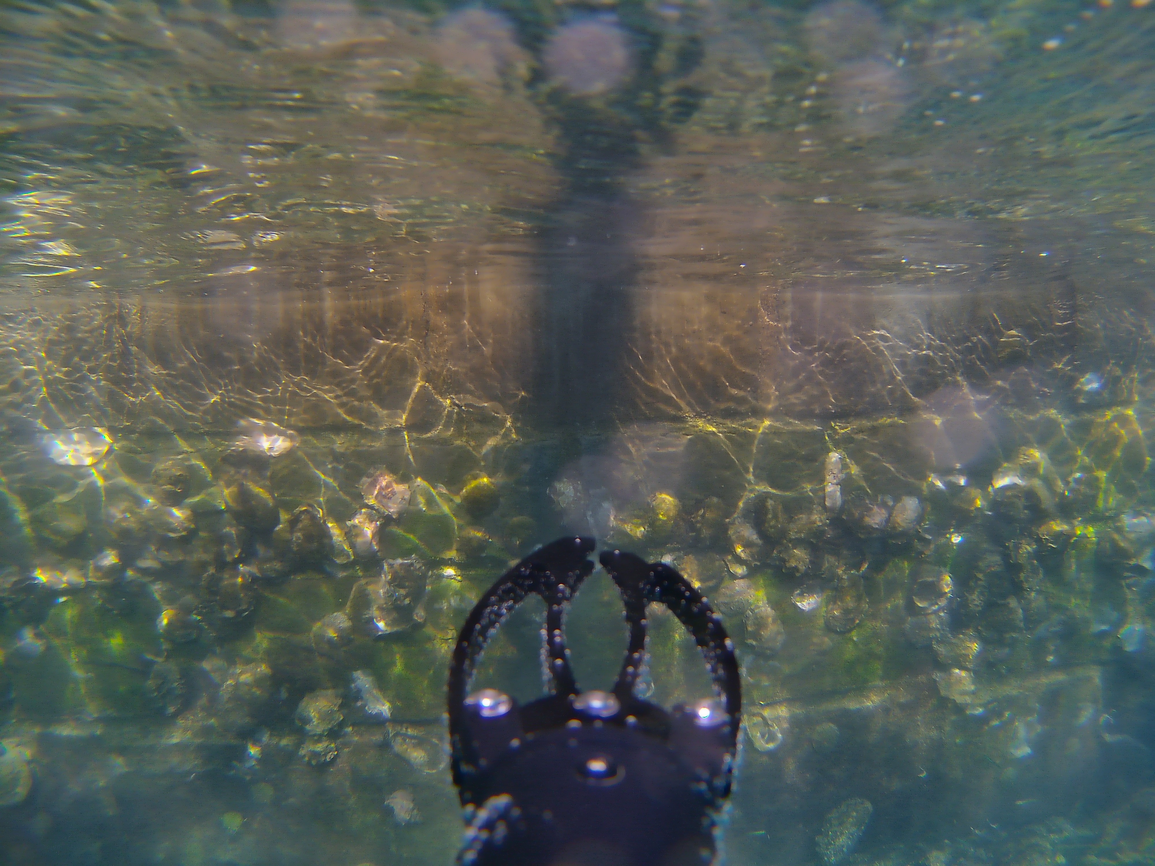 underwater reflections and drone arm