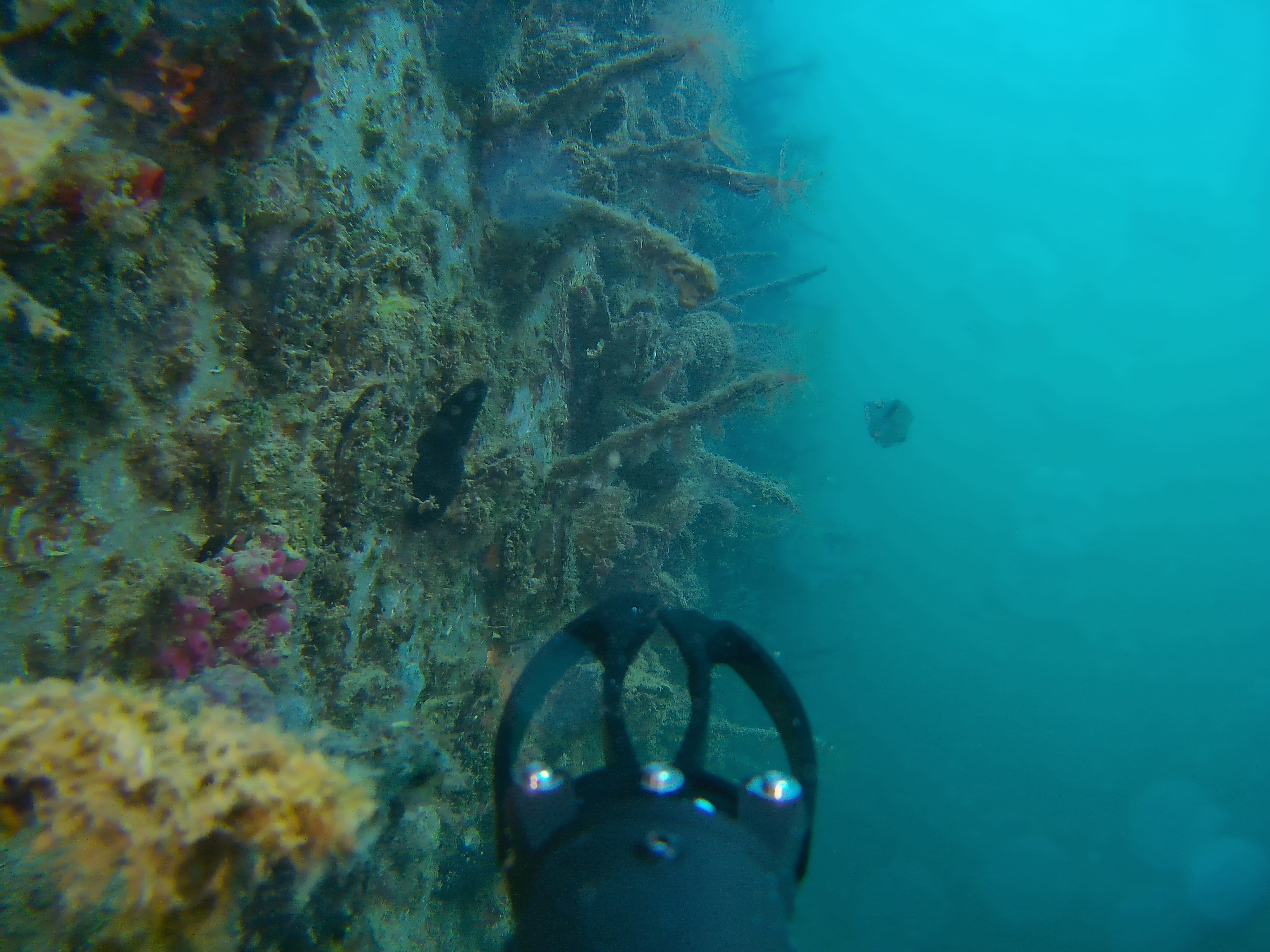 underwater scene with drone arm