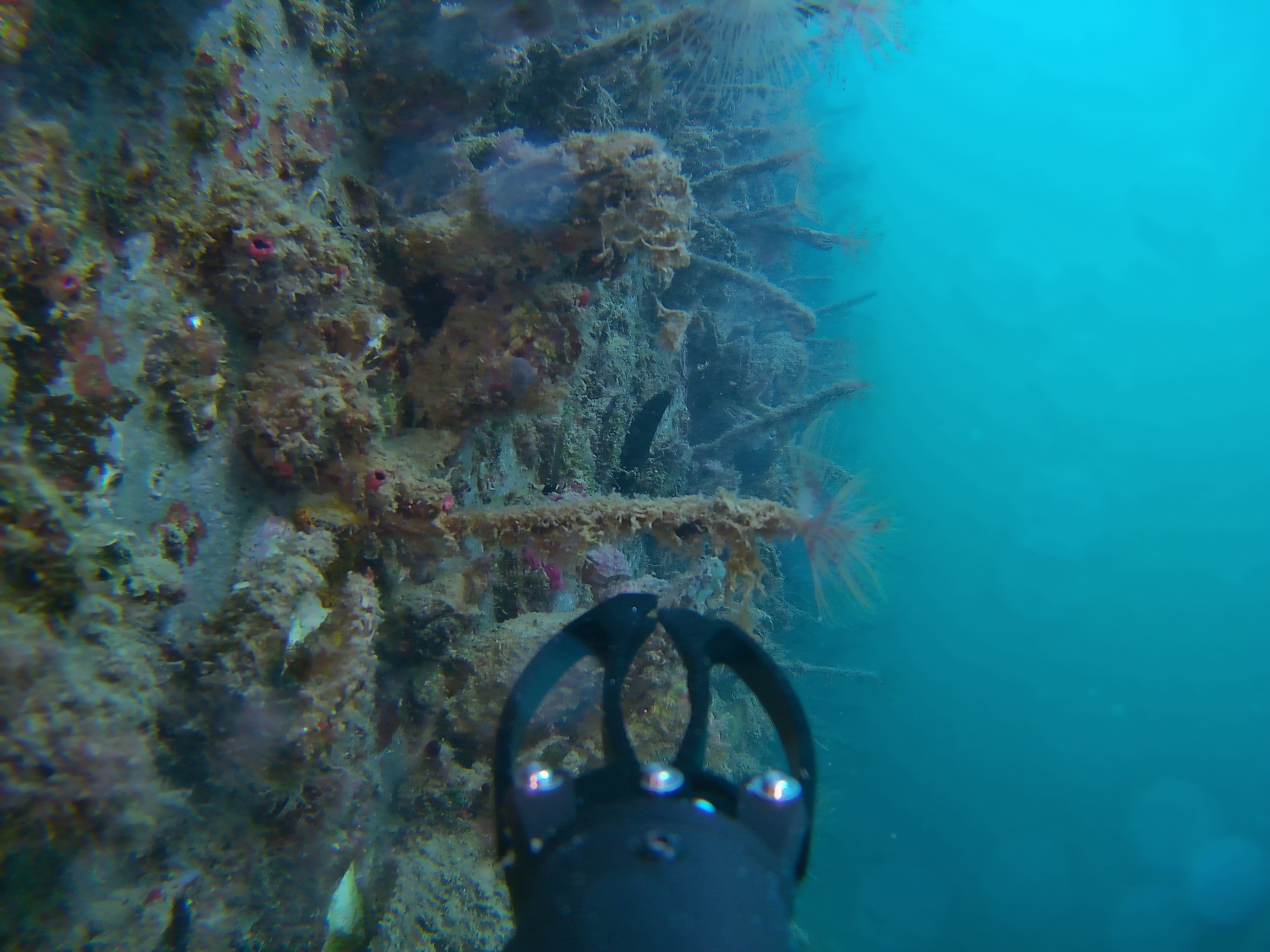 underwater view with drone arm