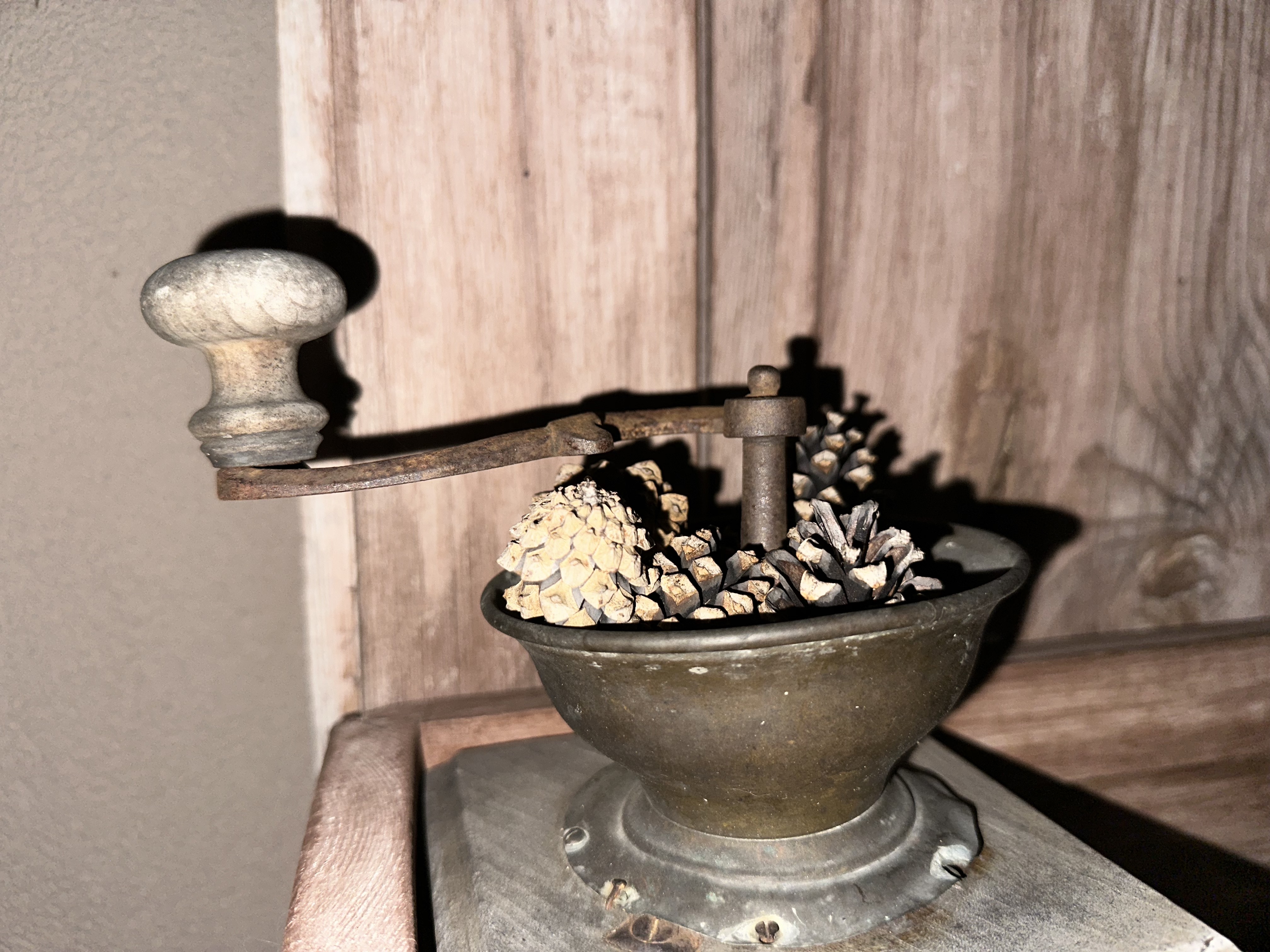 antique coffee grinder with pinecones