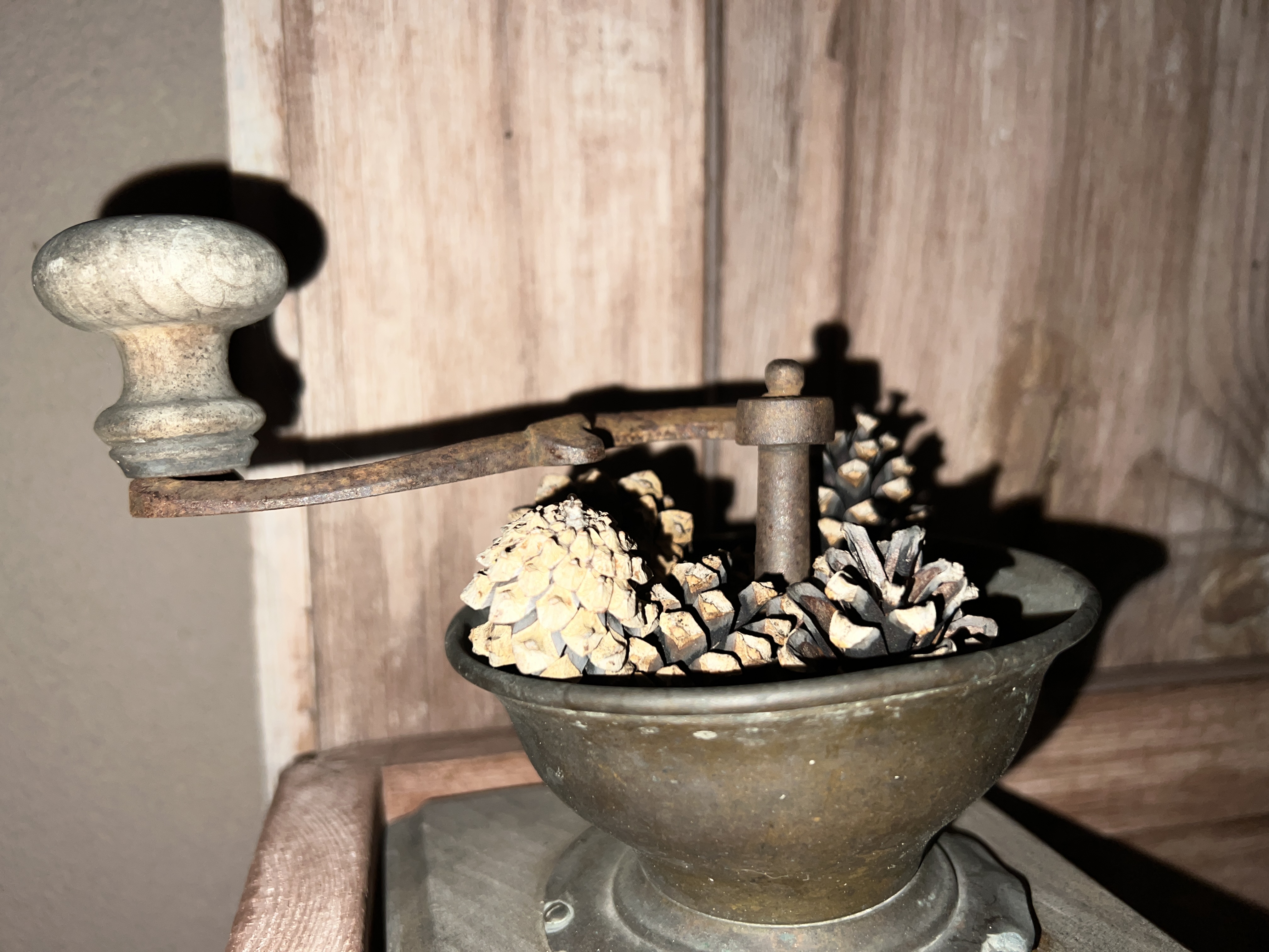 antique coffee grinder with pinecones