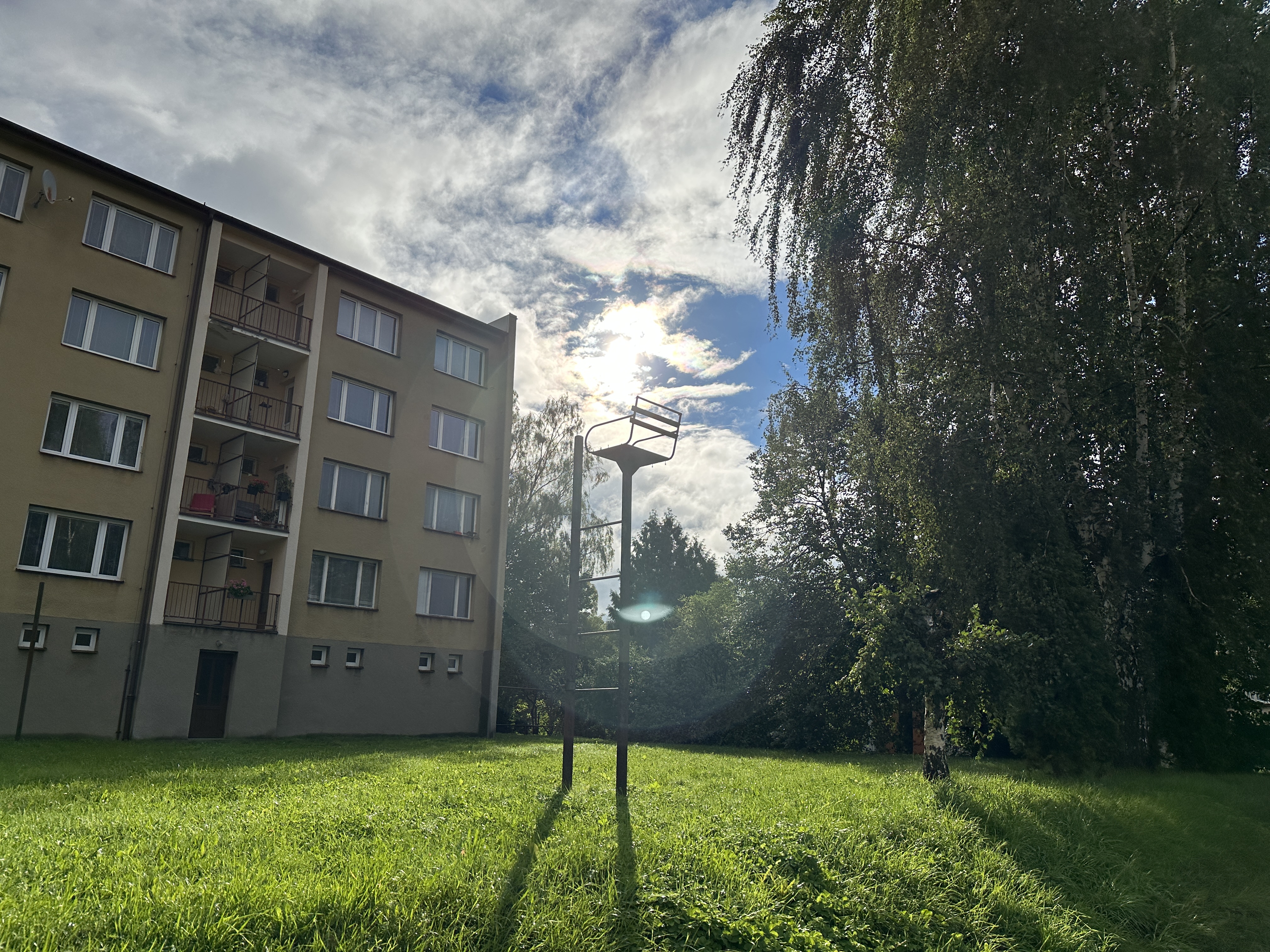 apartment building sunlight through trees