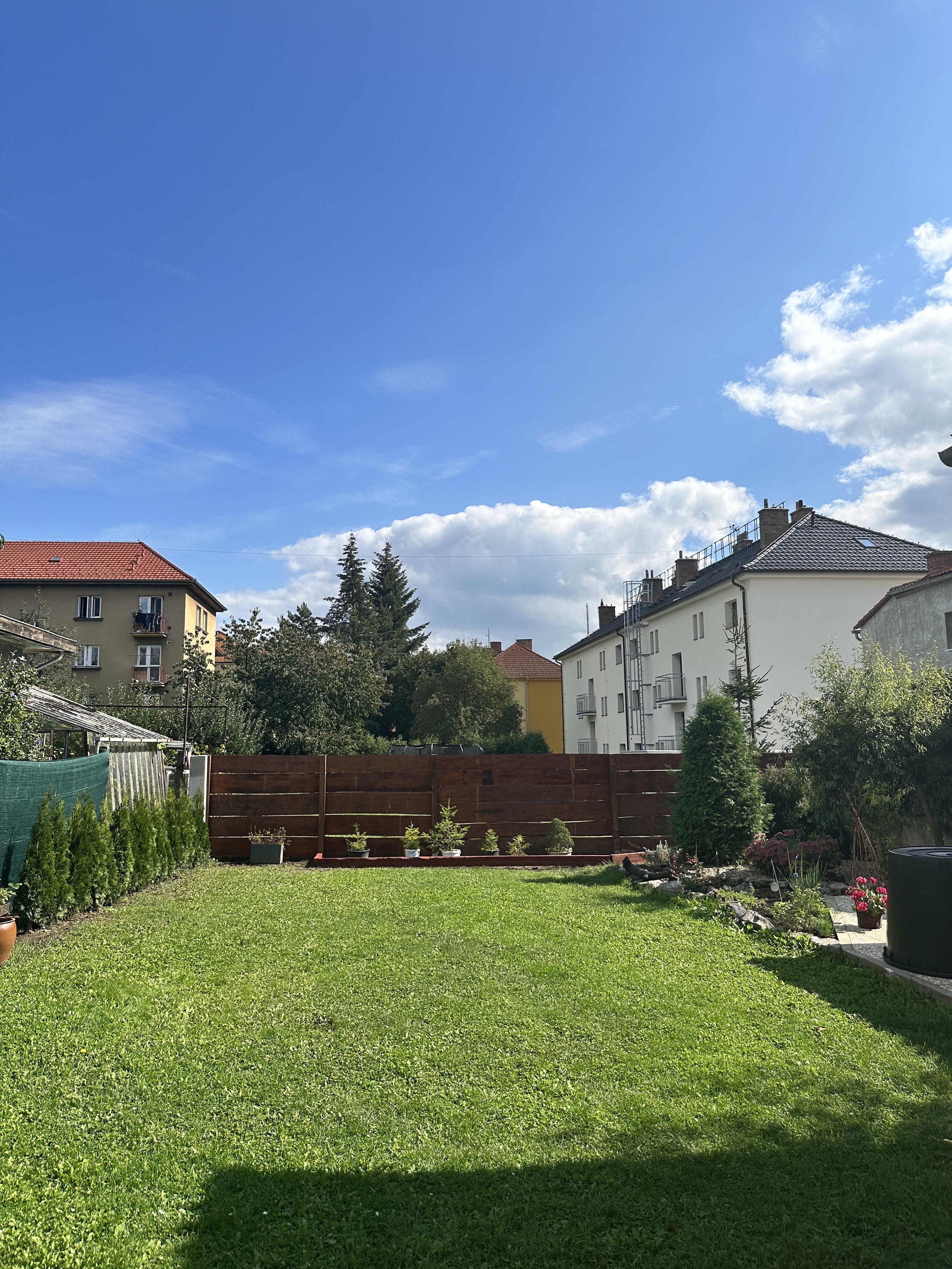 backyard garden with houses