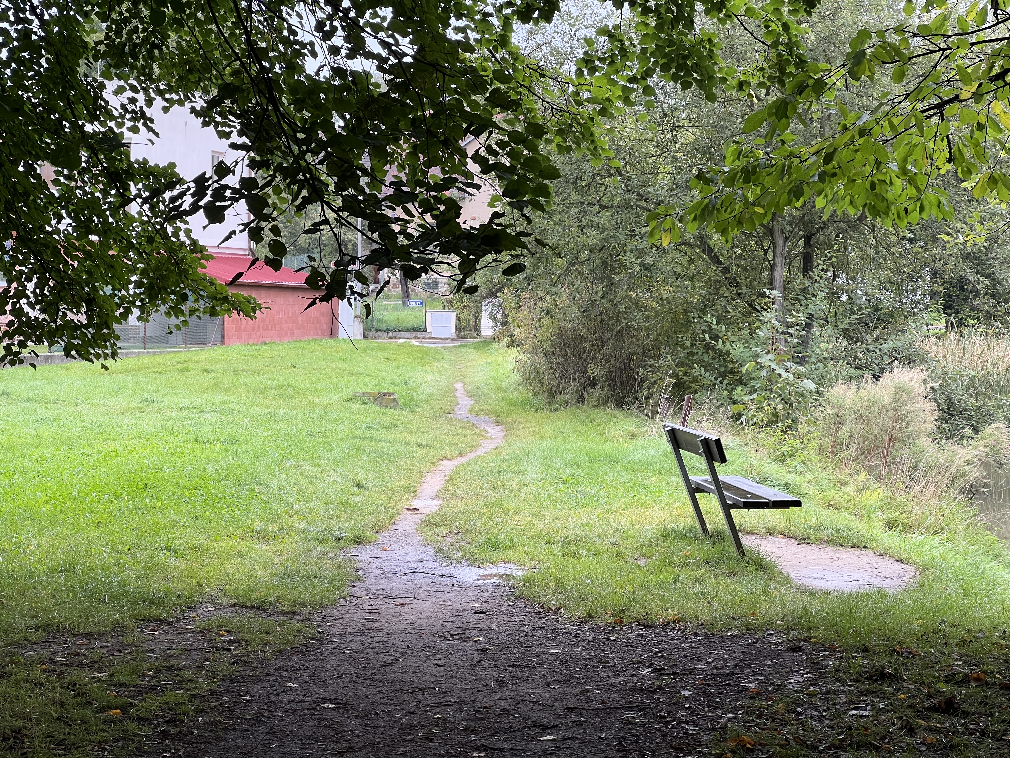 bench on grassy path
