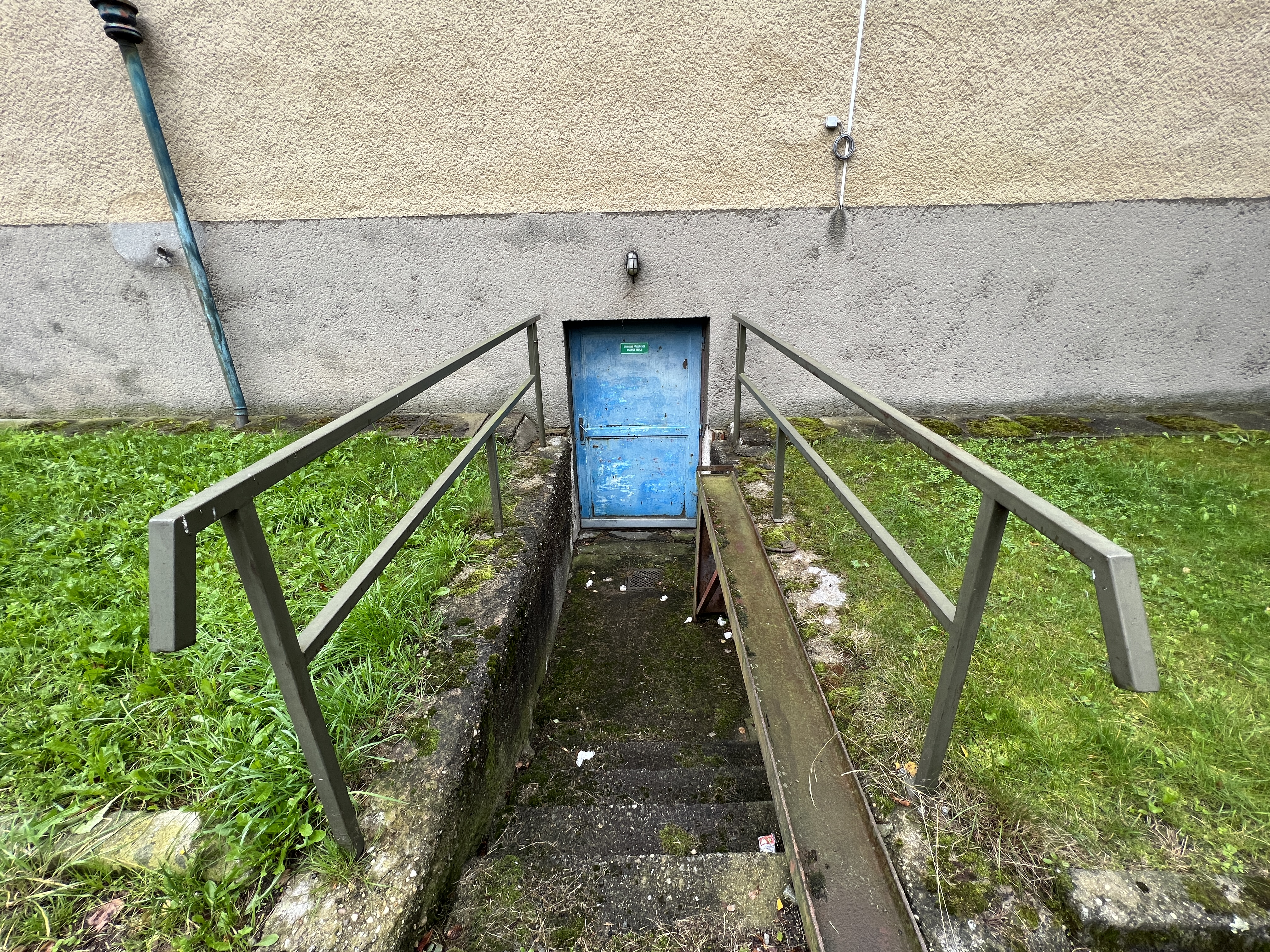 blue door with railings