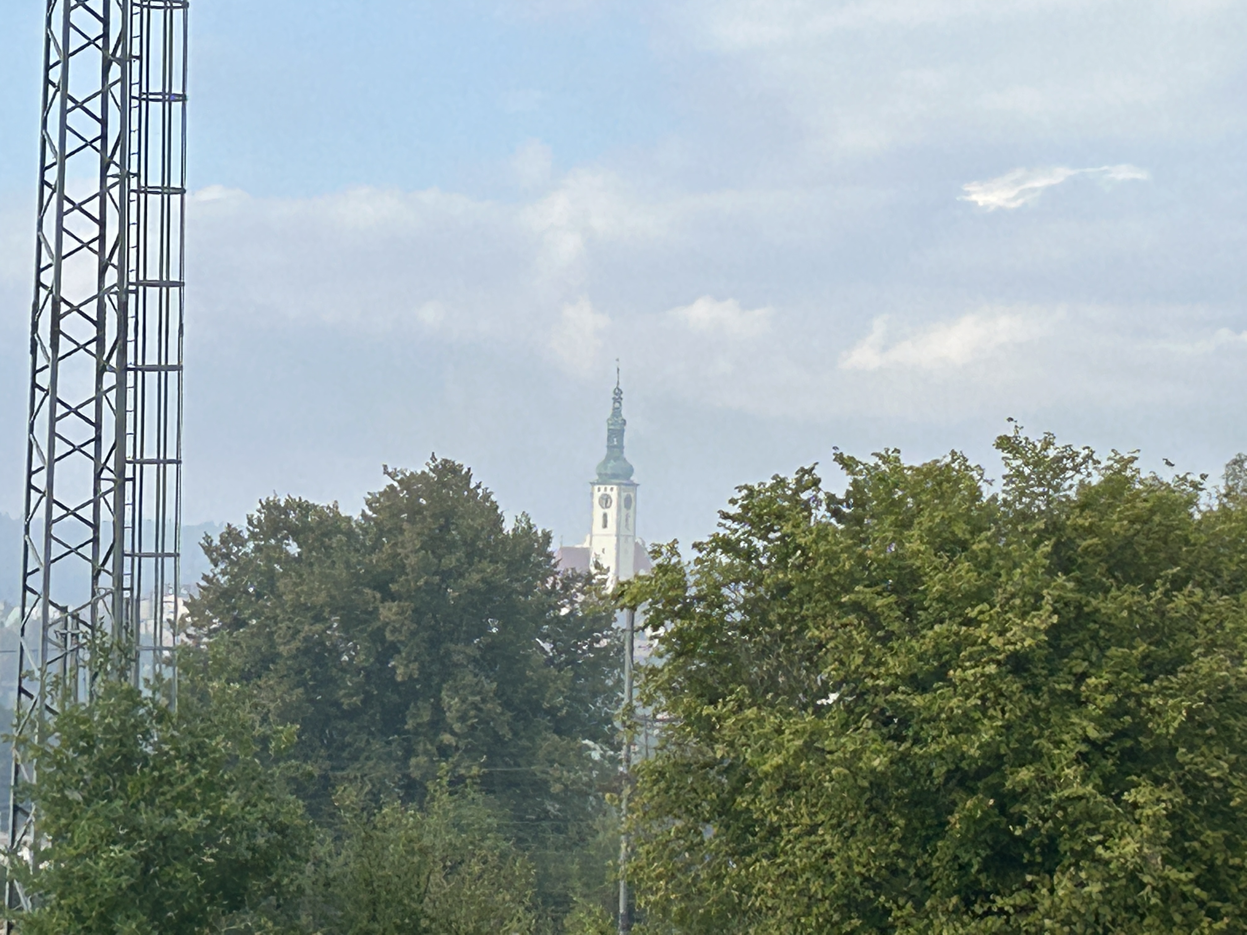 church tower behind trees