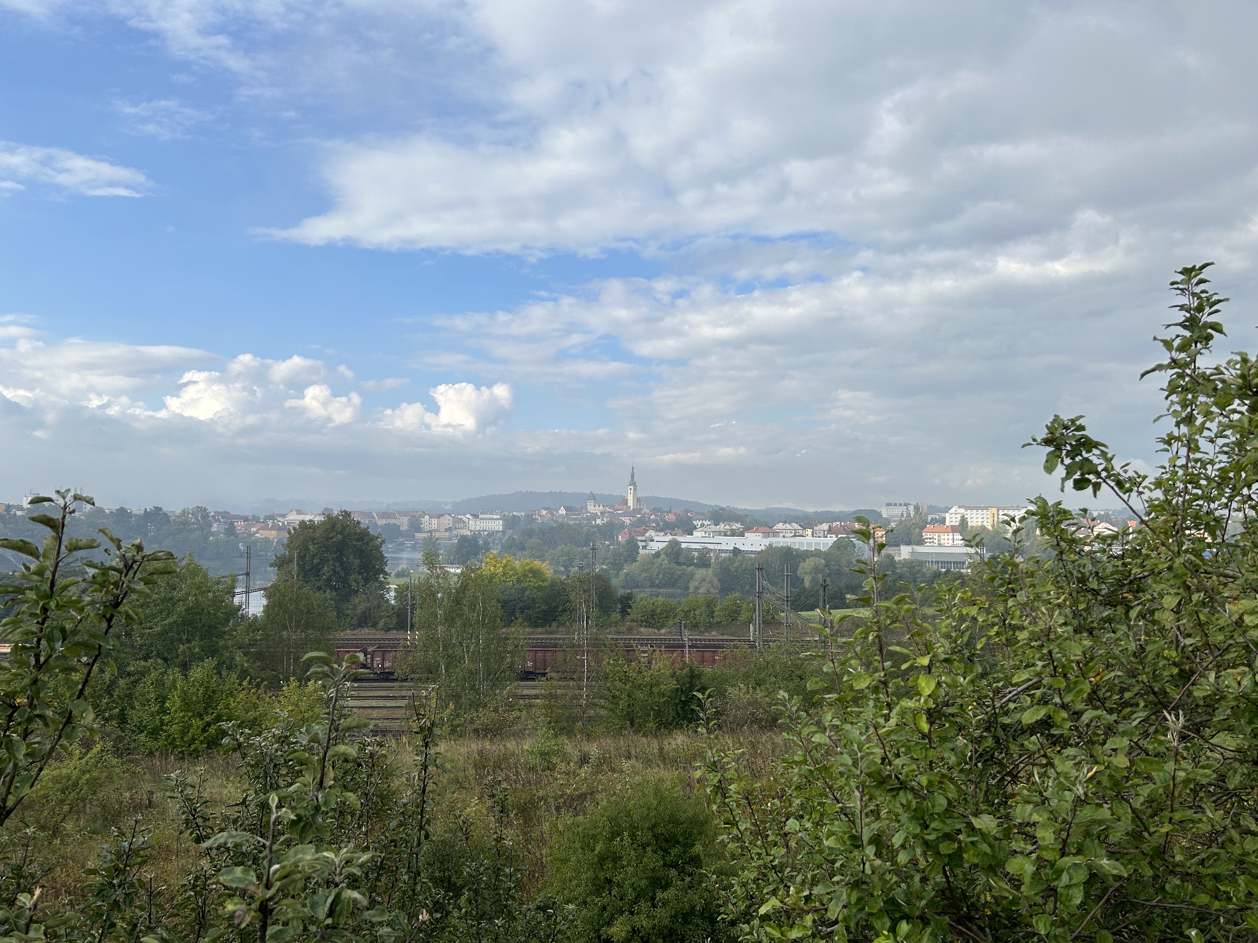cityscape with distant tower