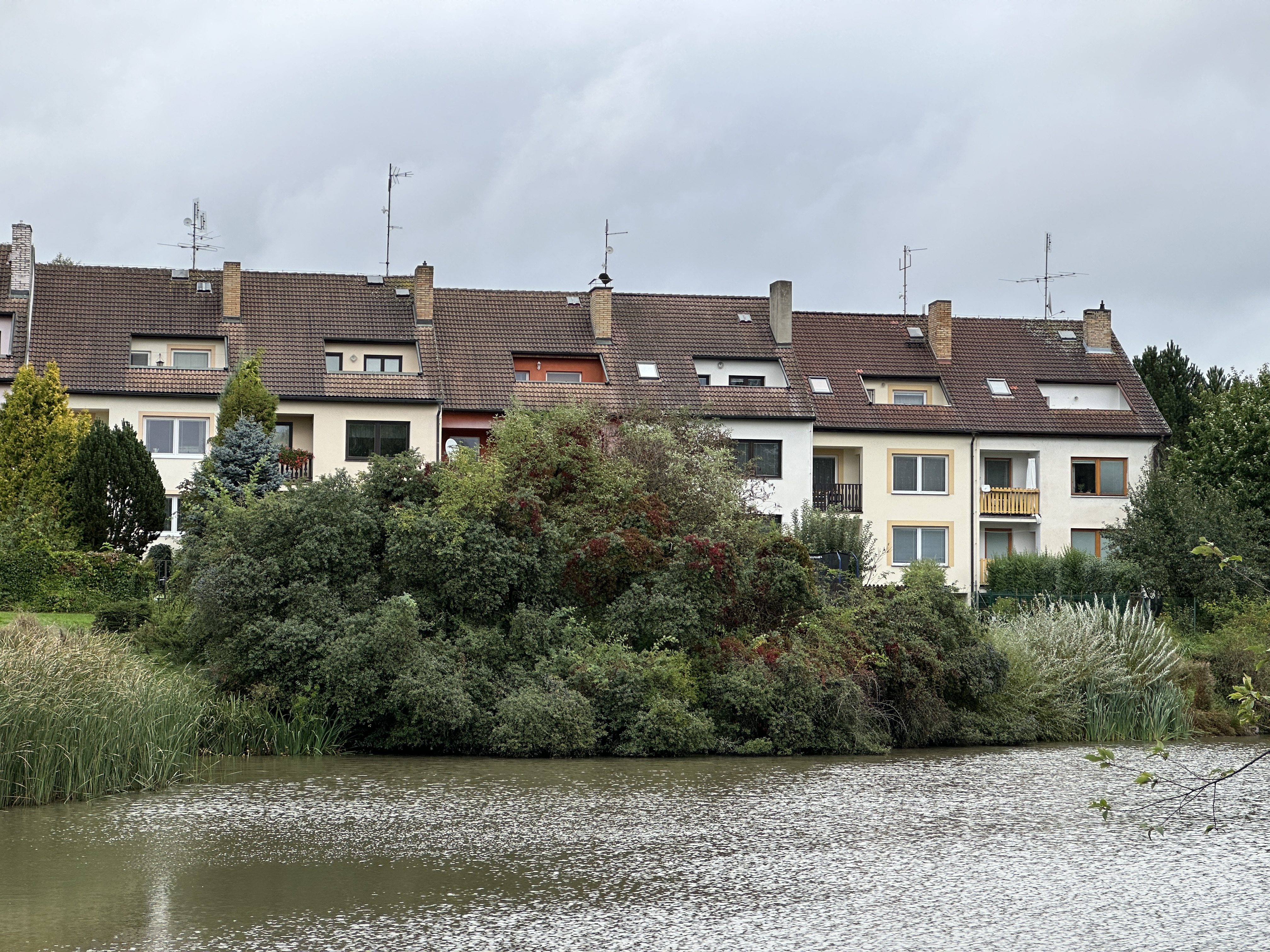 close up houses lake