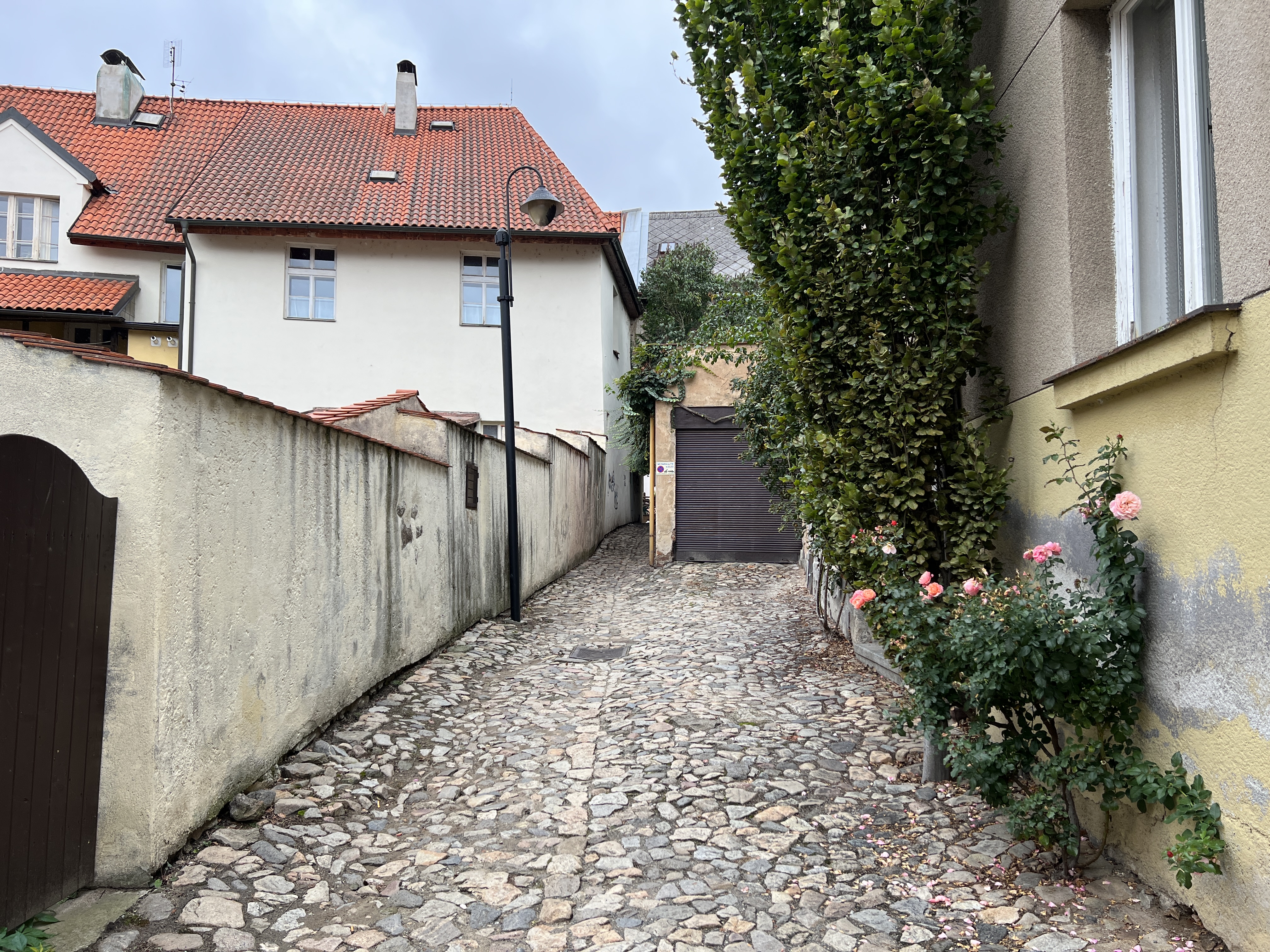cobblestone alleyway