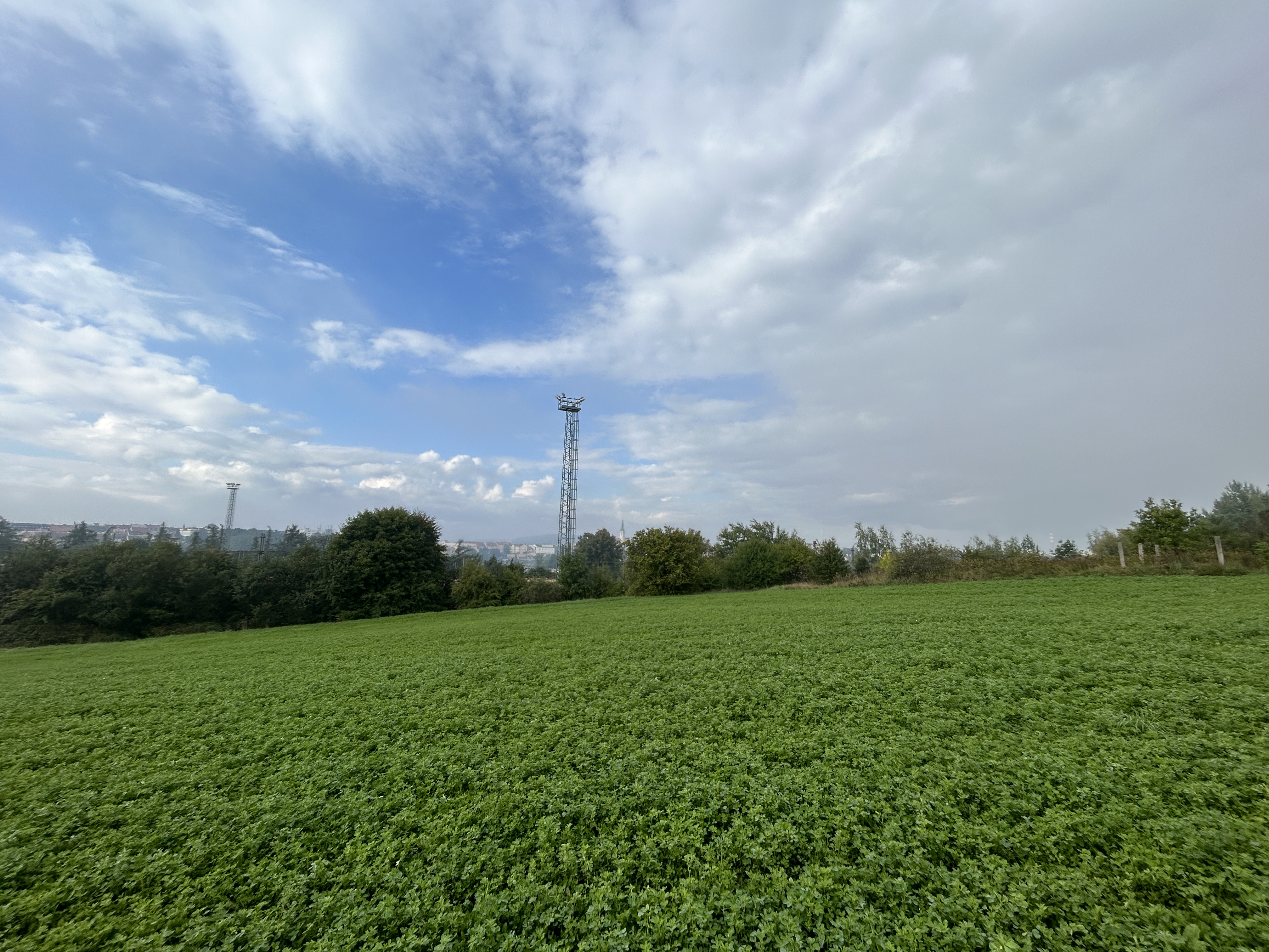 field with communication tower