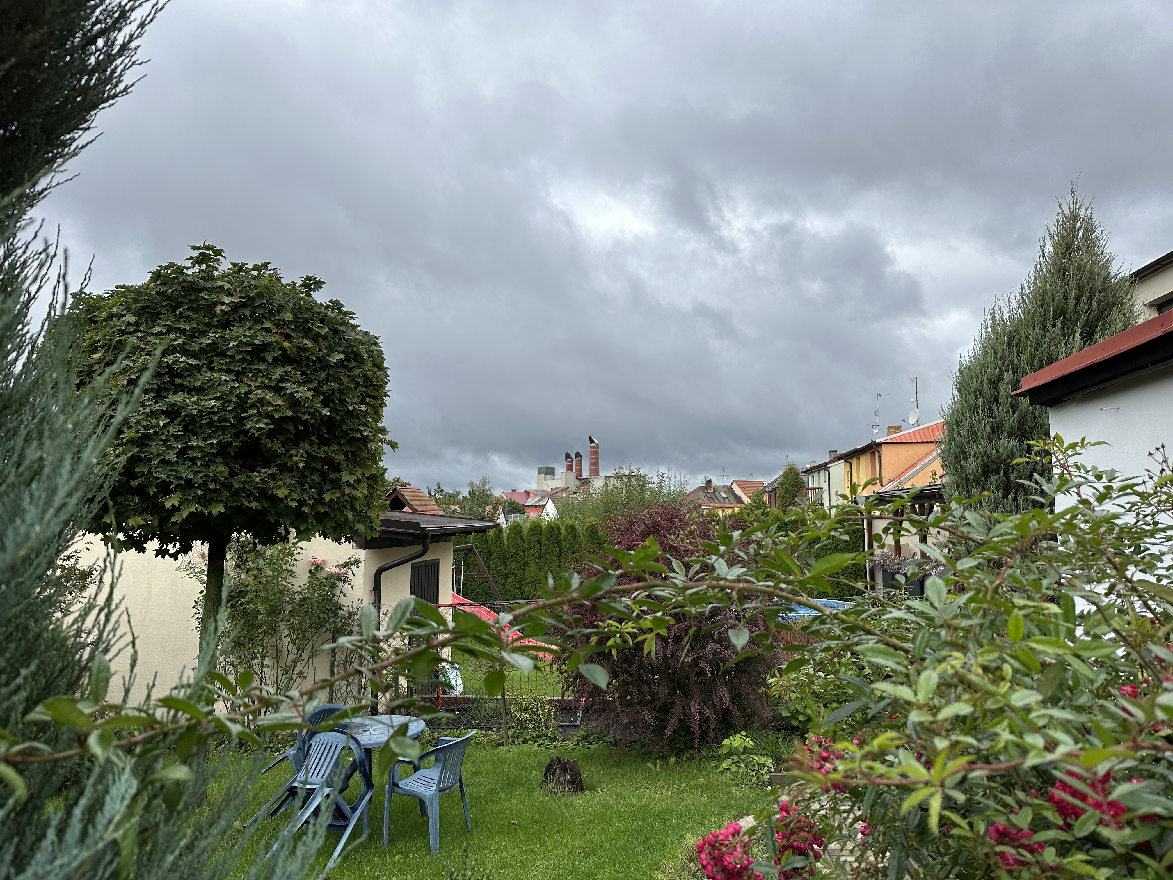 garden chairs trees cloudy