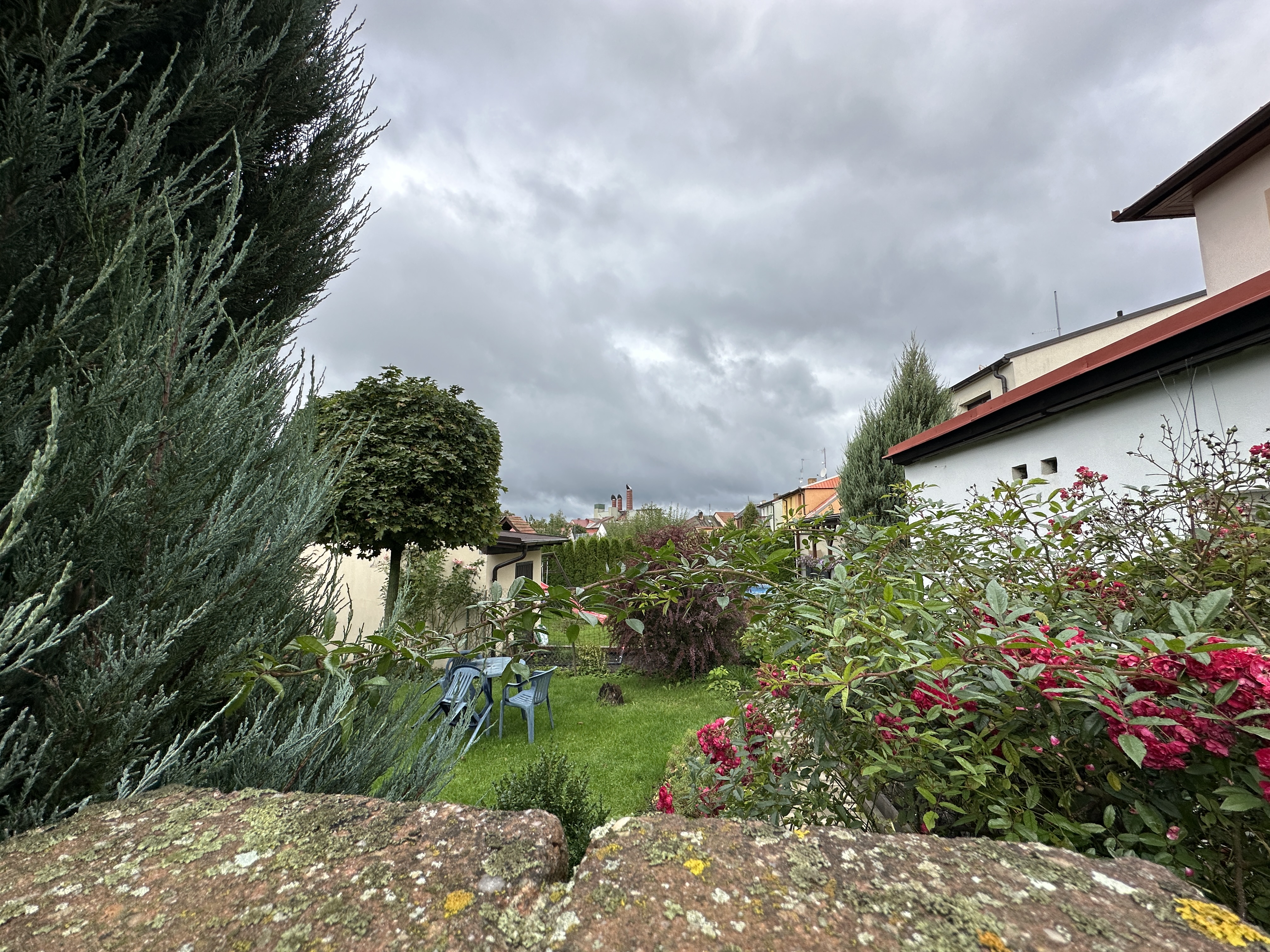 garden view cloudy sky