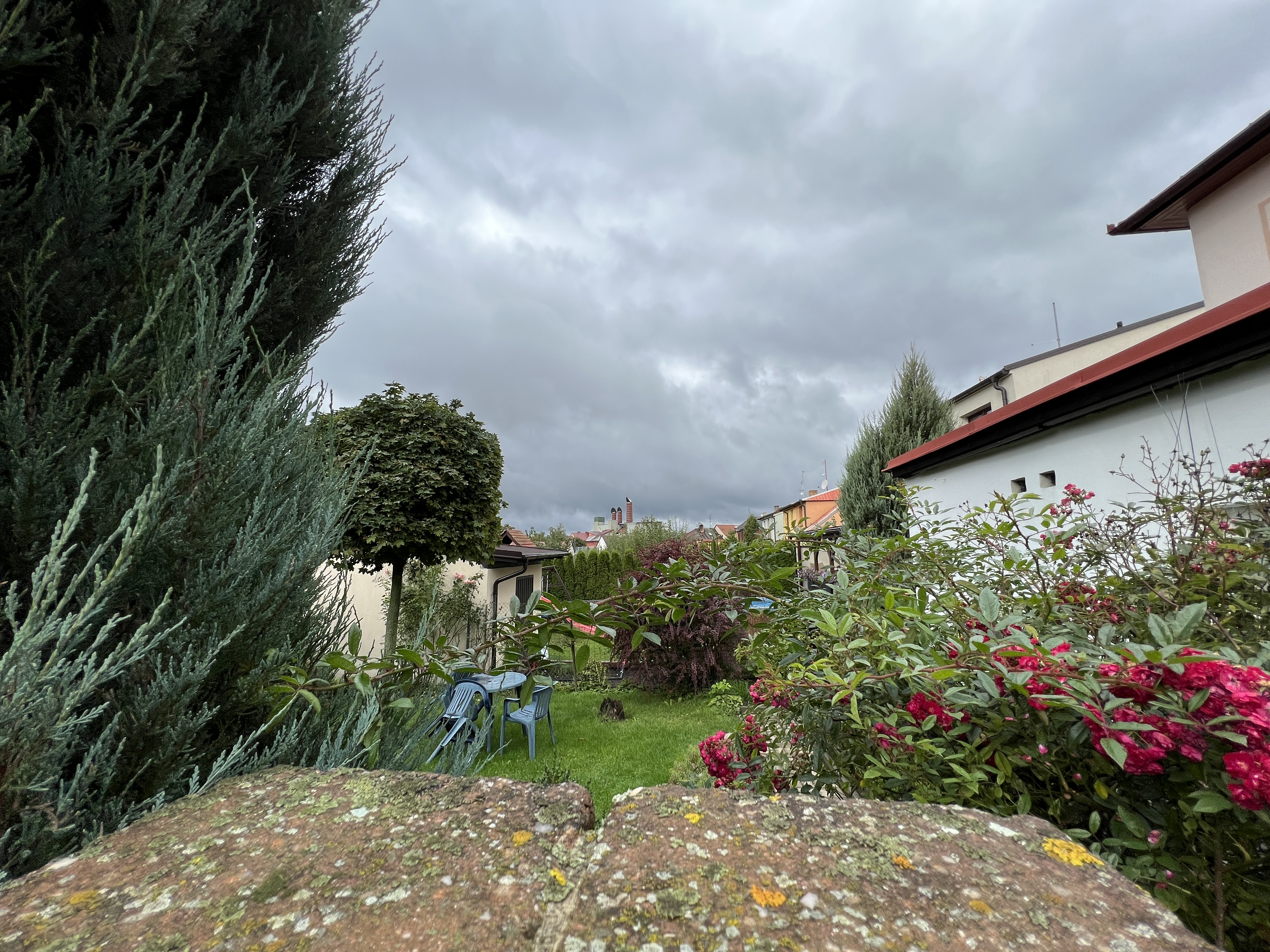 garden with cloudy sky