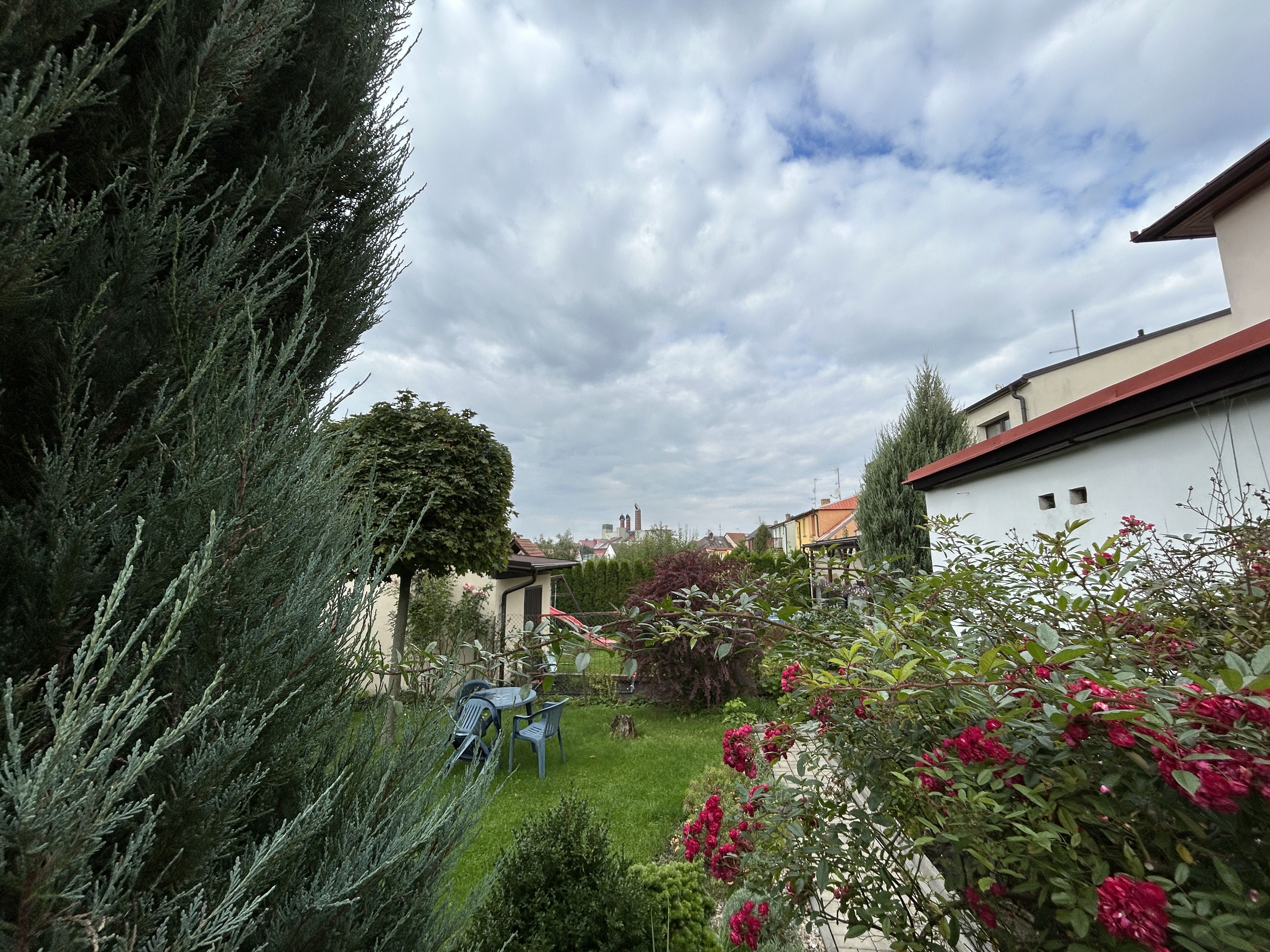 garden with trees and chairs