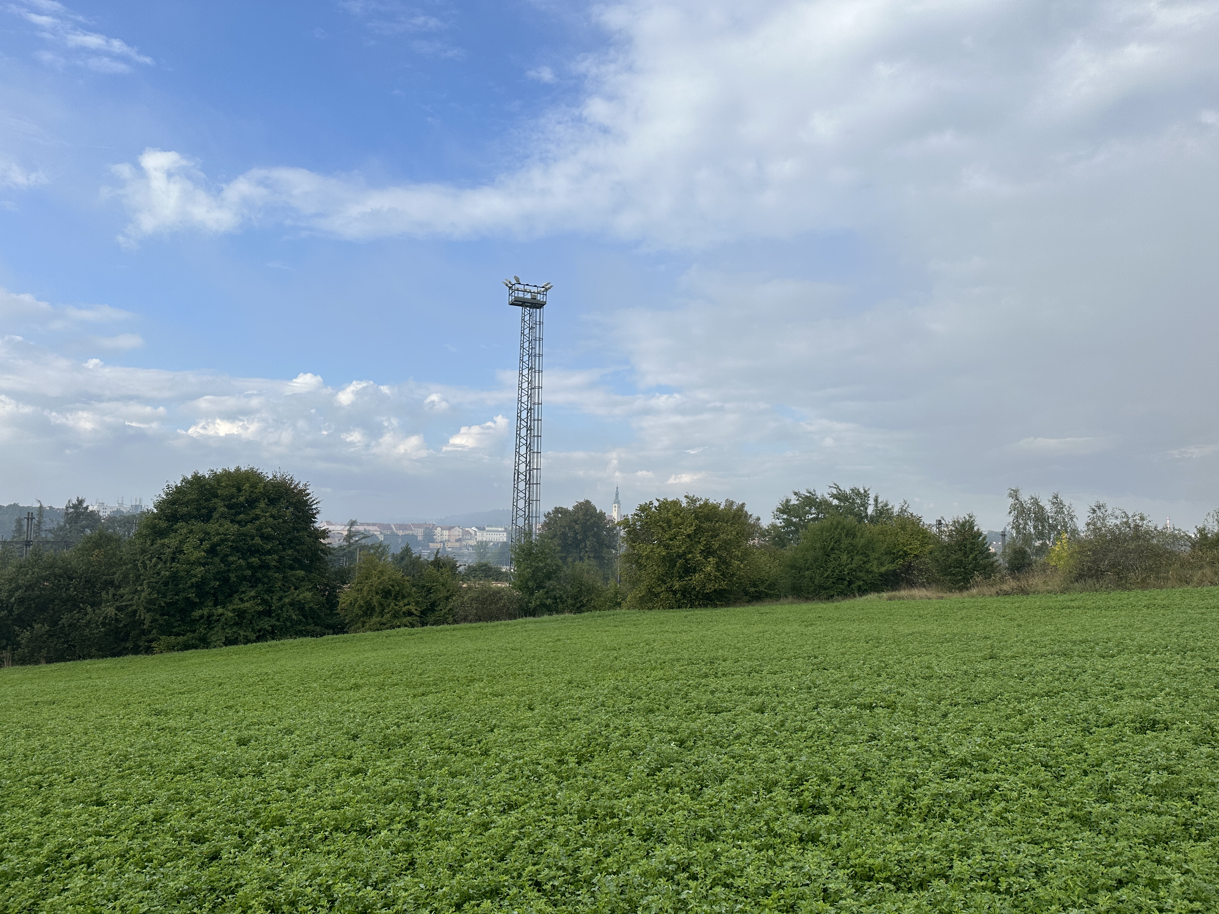 green field with tower closeup