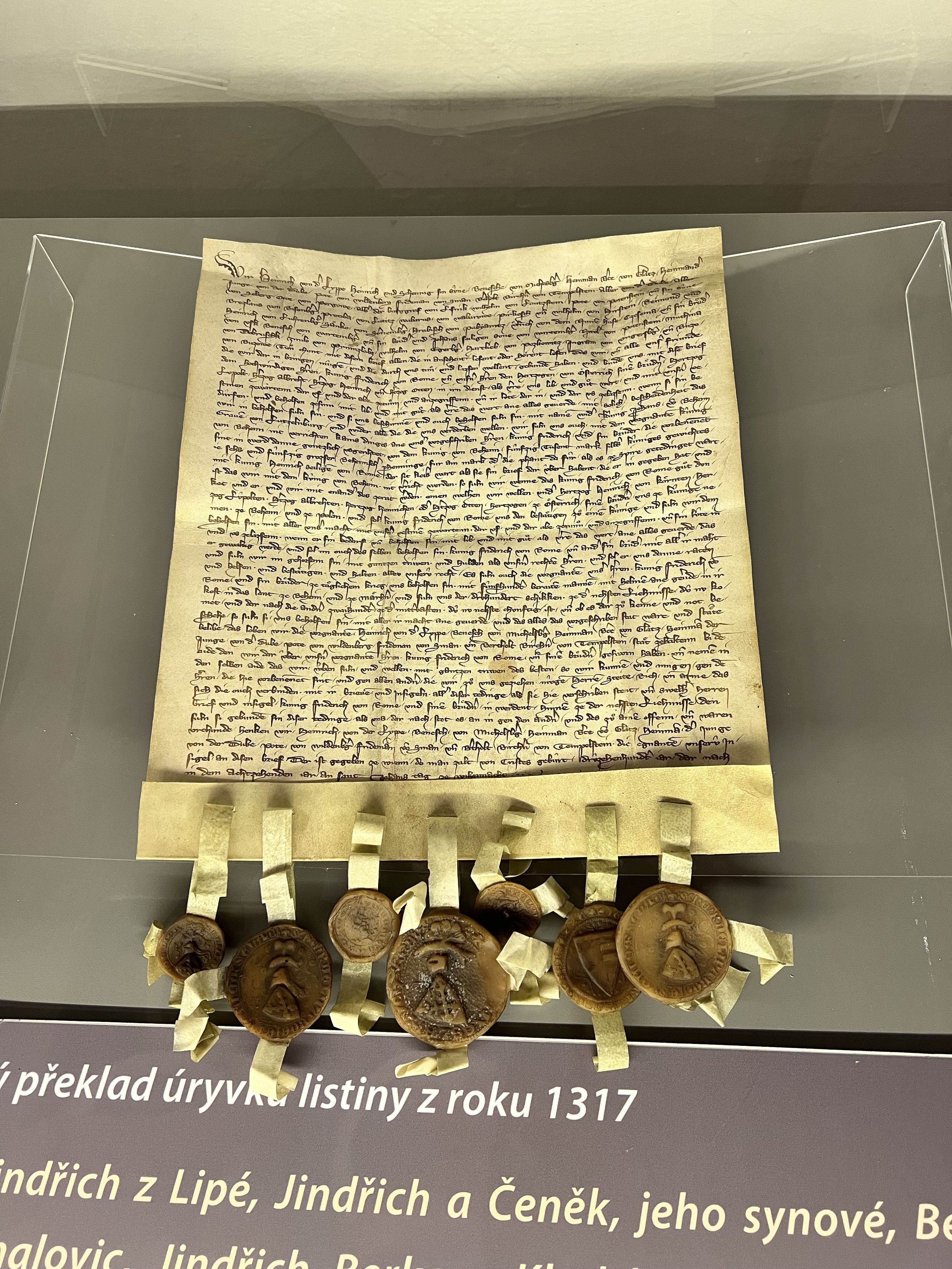 iPhone 13 Pro Max foto LsA 18